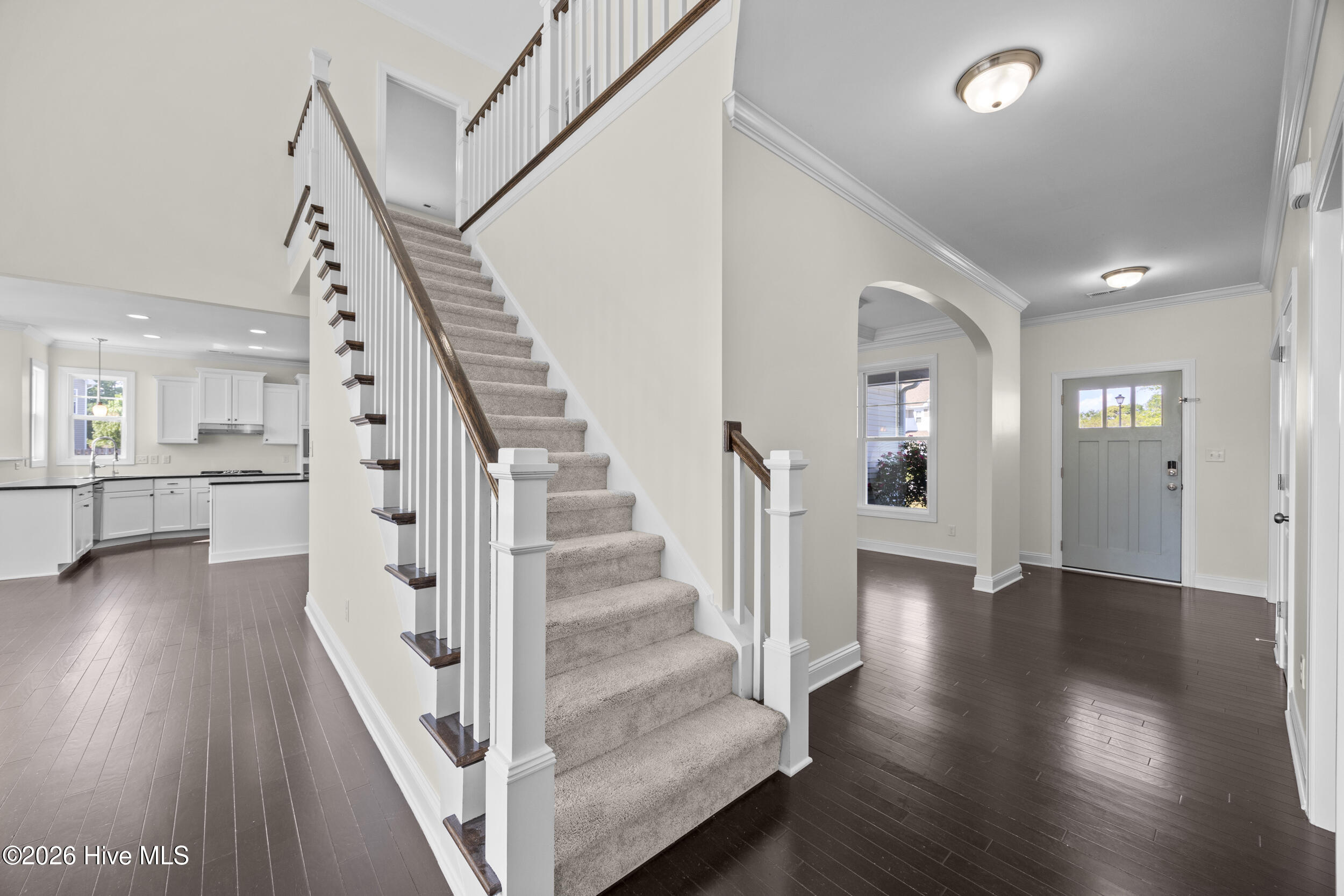 100568241 | Photo 38