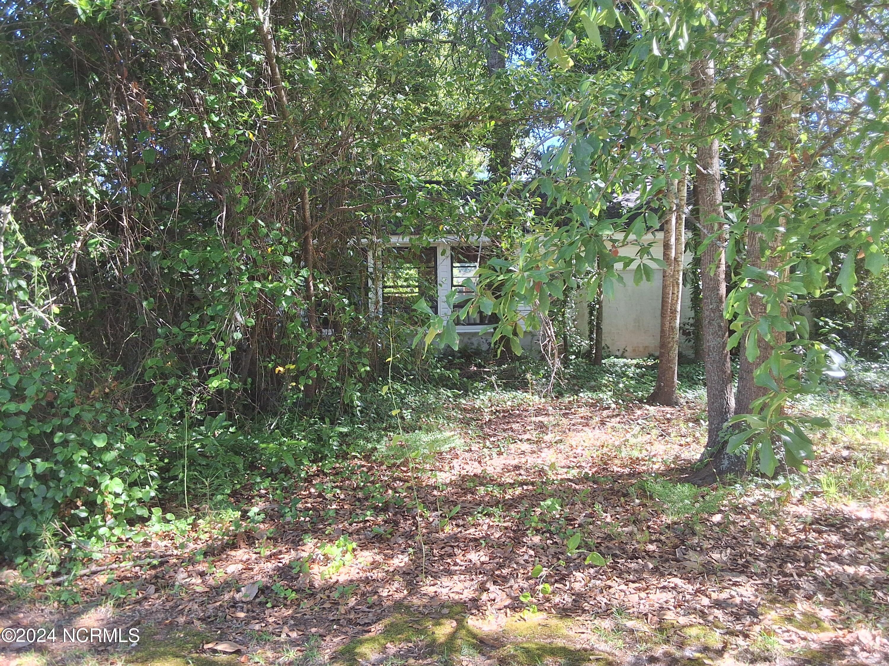 201 E Bell Street, Tabor City, NC, 28463