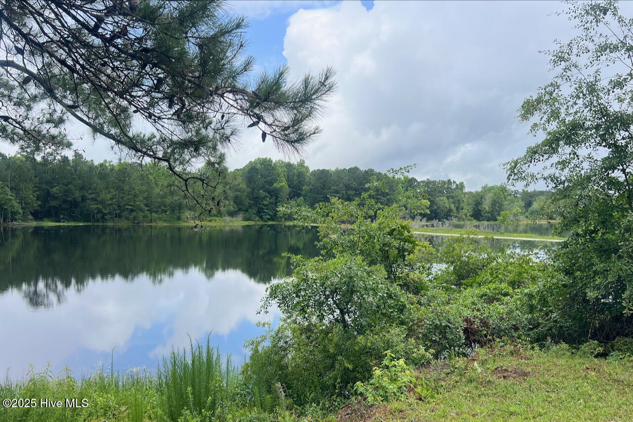 100536265 | Photo 21