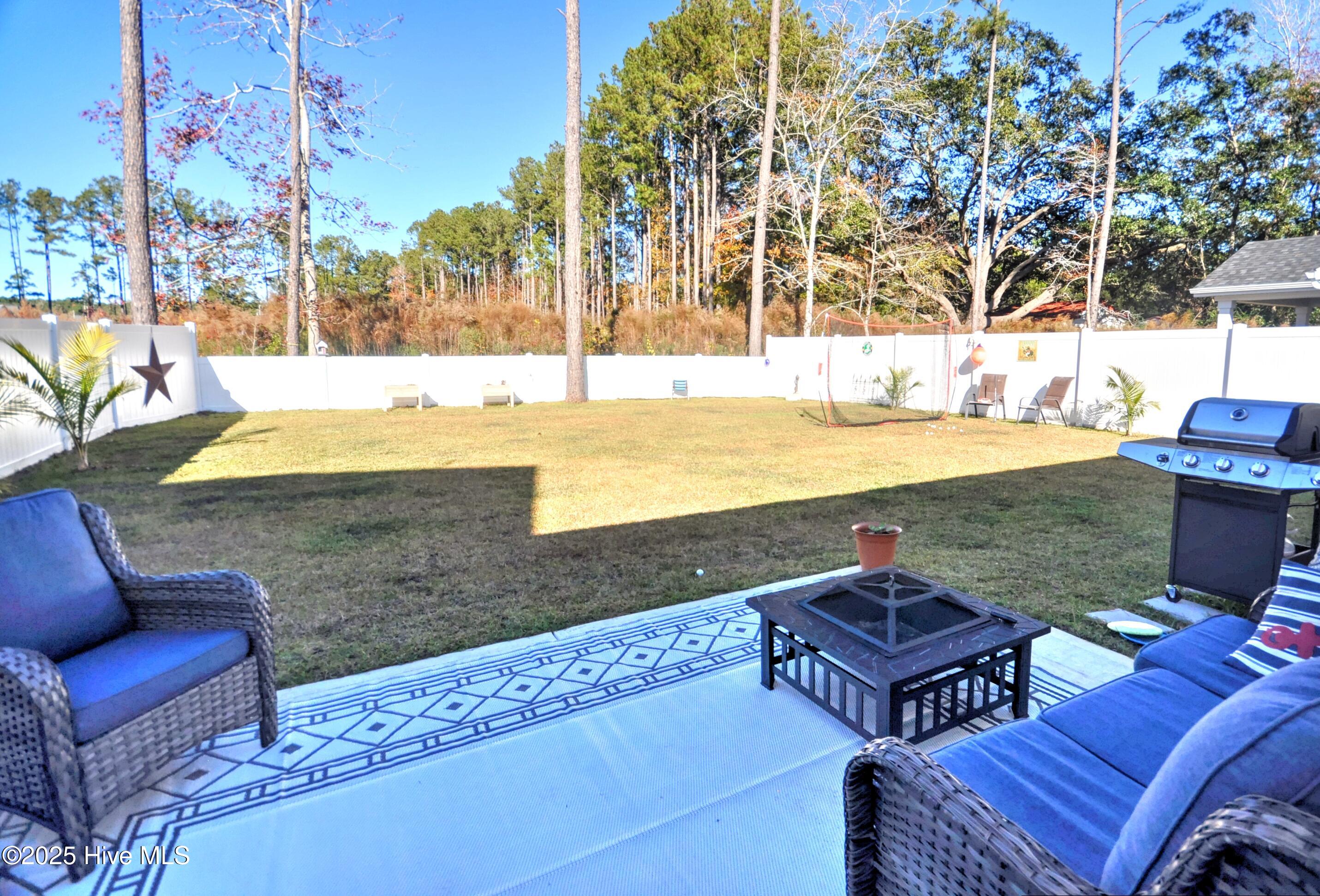 100542136 | Photo 16