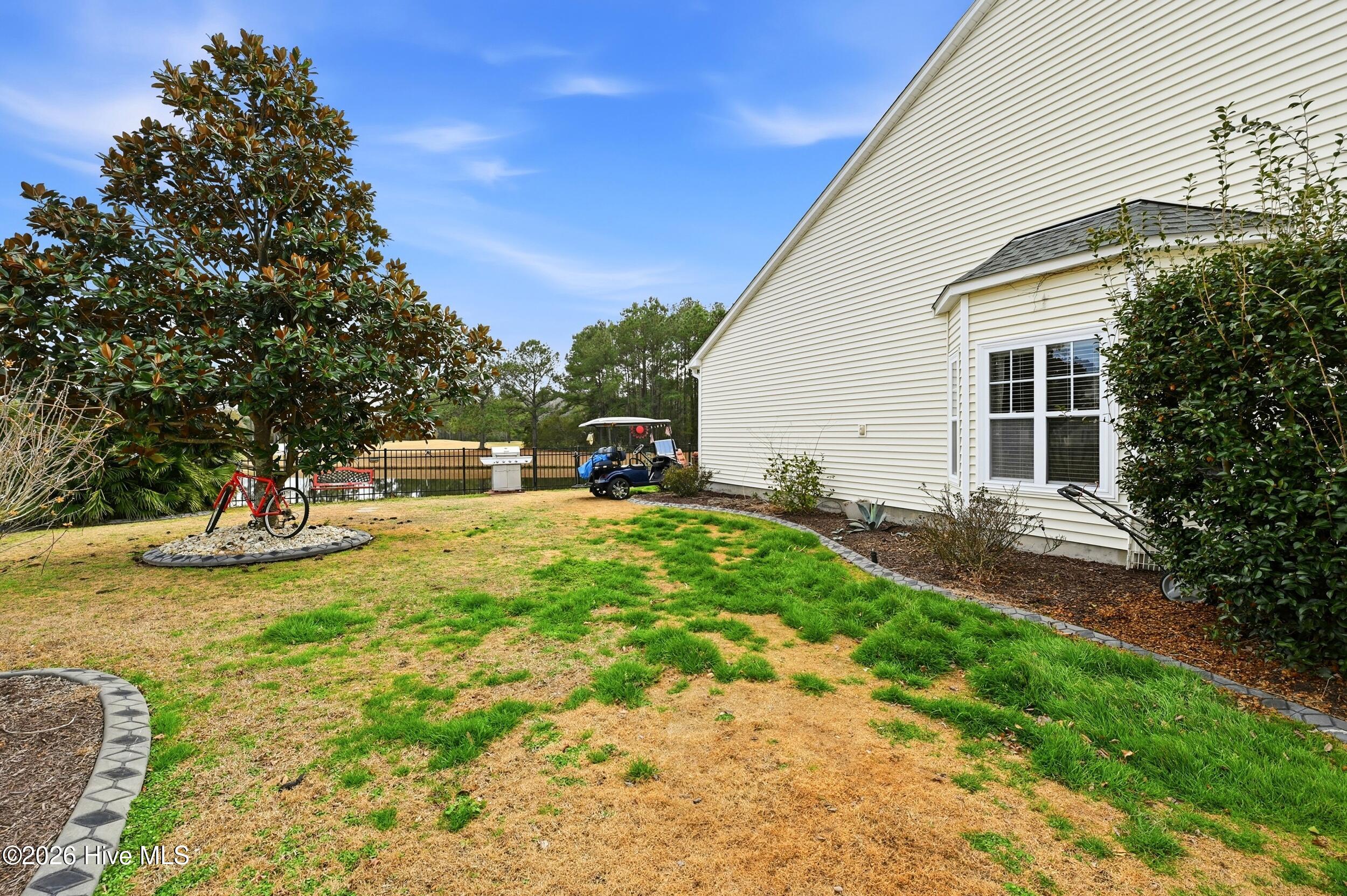 100553802 | Photo 44