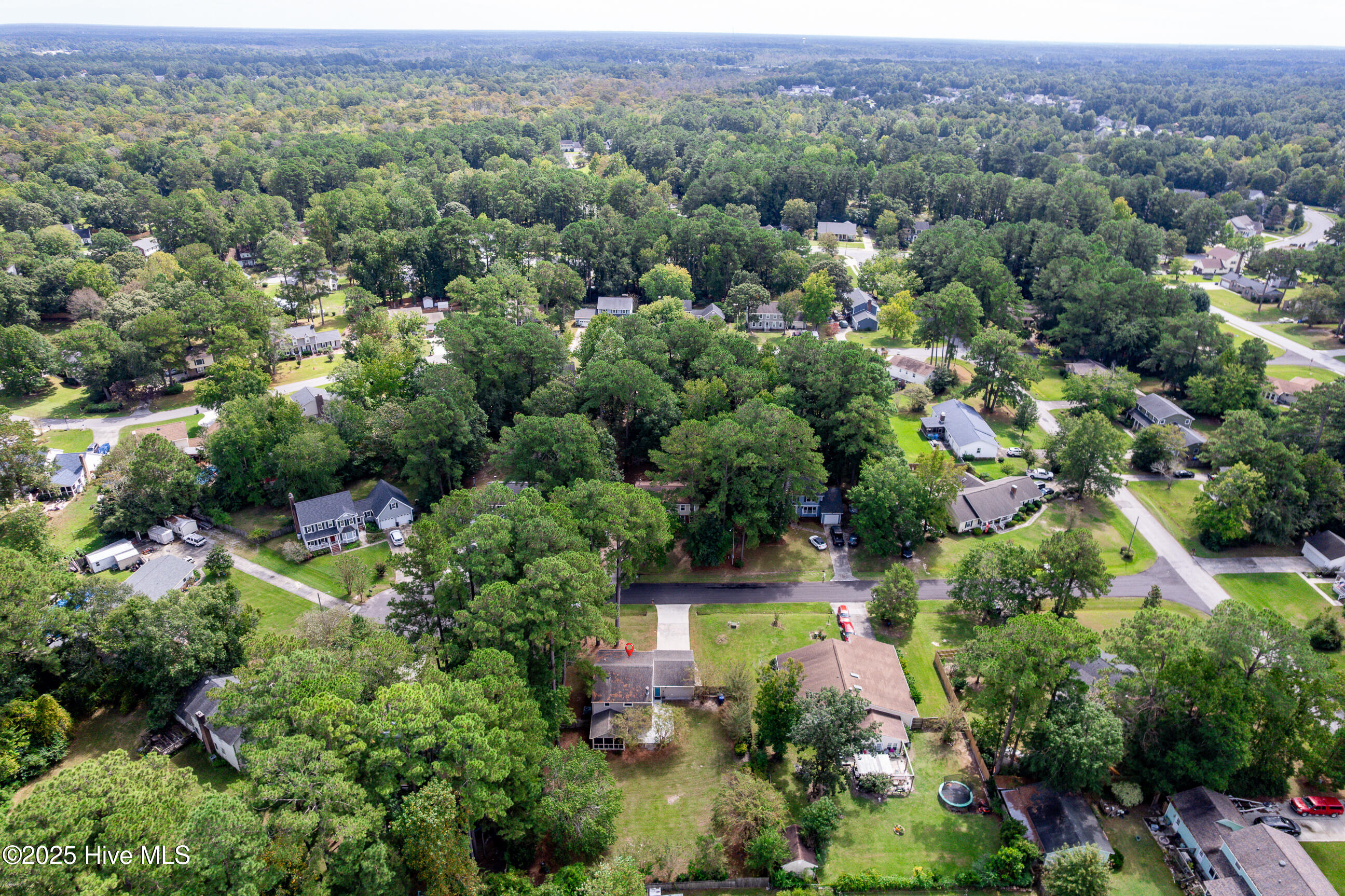 100531663 | Photo 43