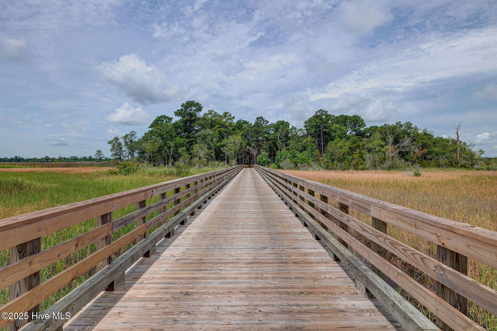 100488760 | Photo 29