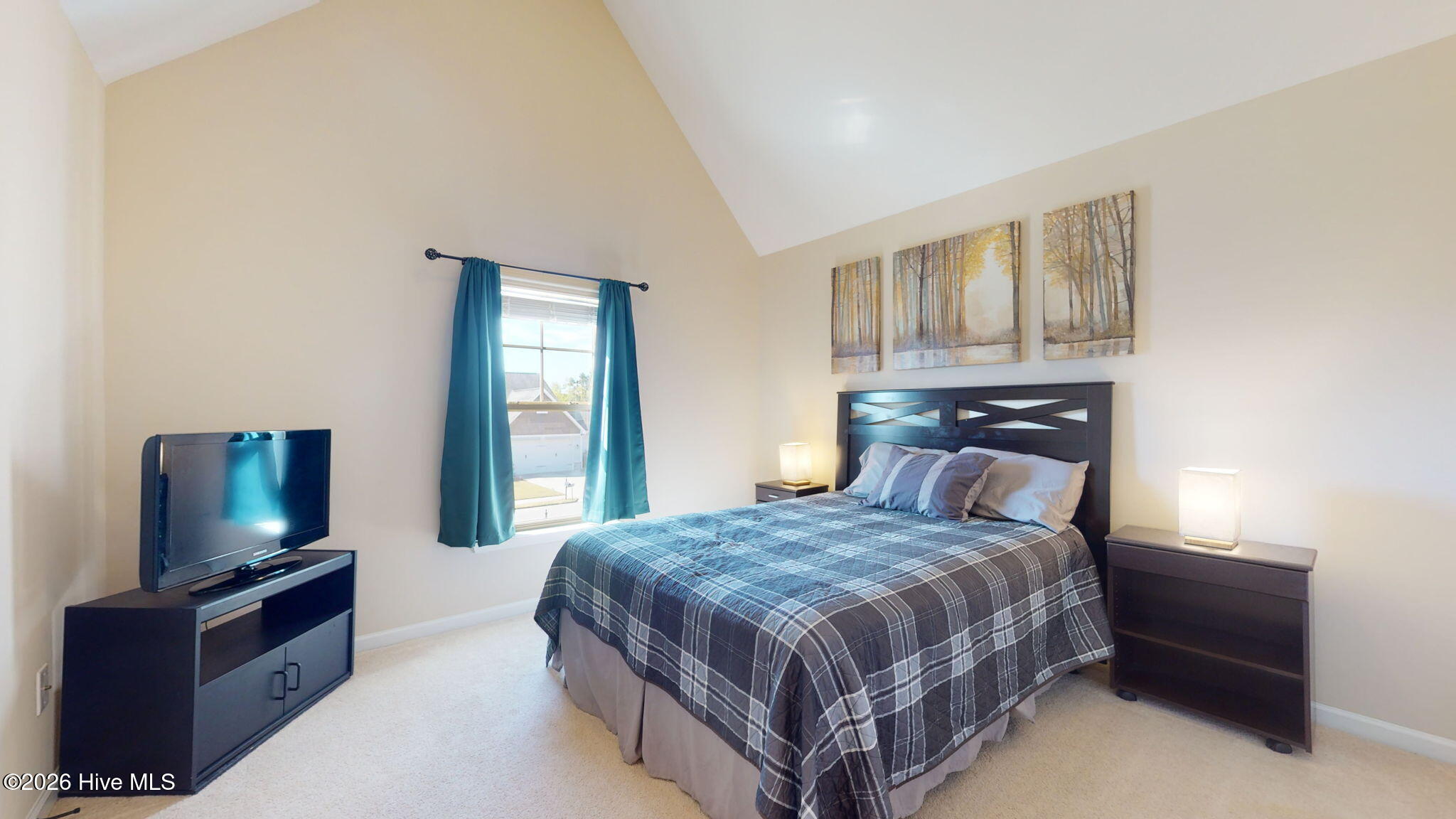 100558979 | Photo 26