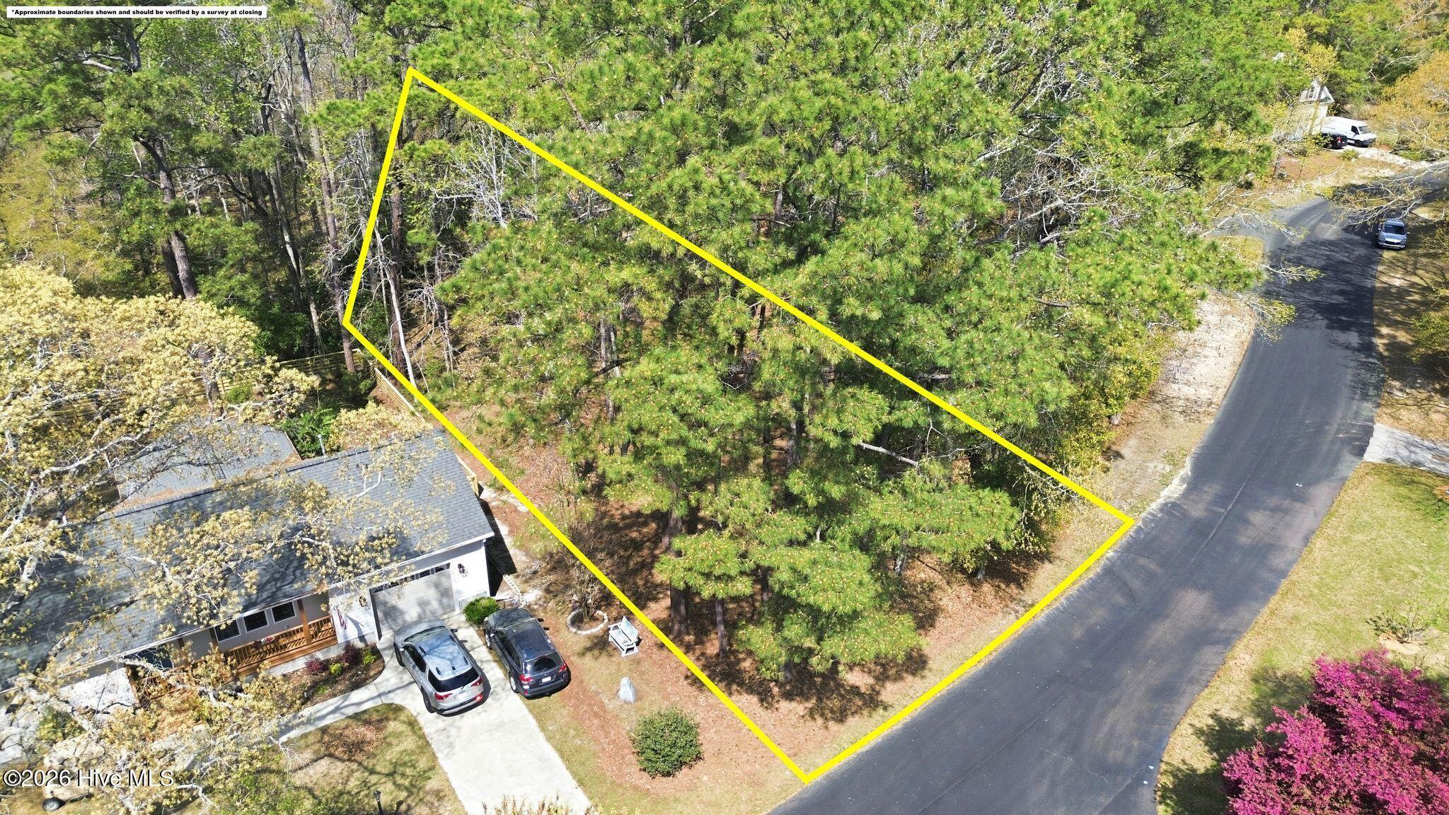 100563683 | Photo 11