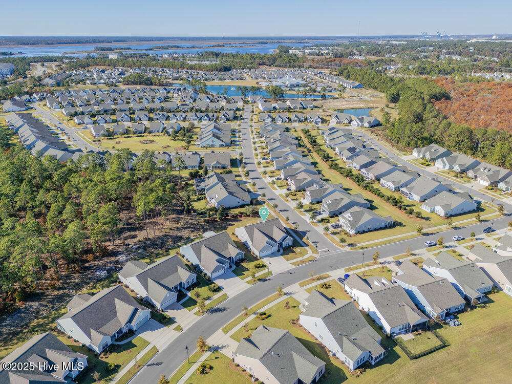 100540446 | Photo 50