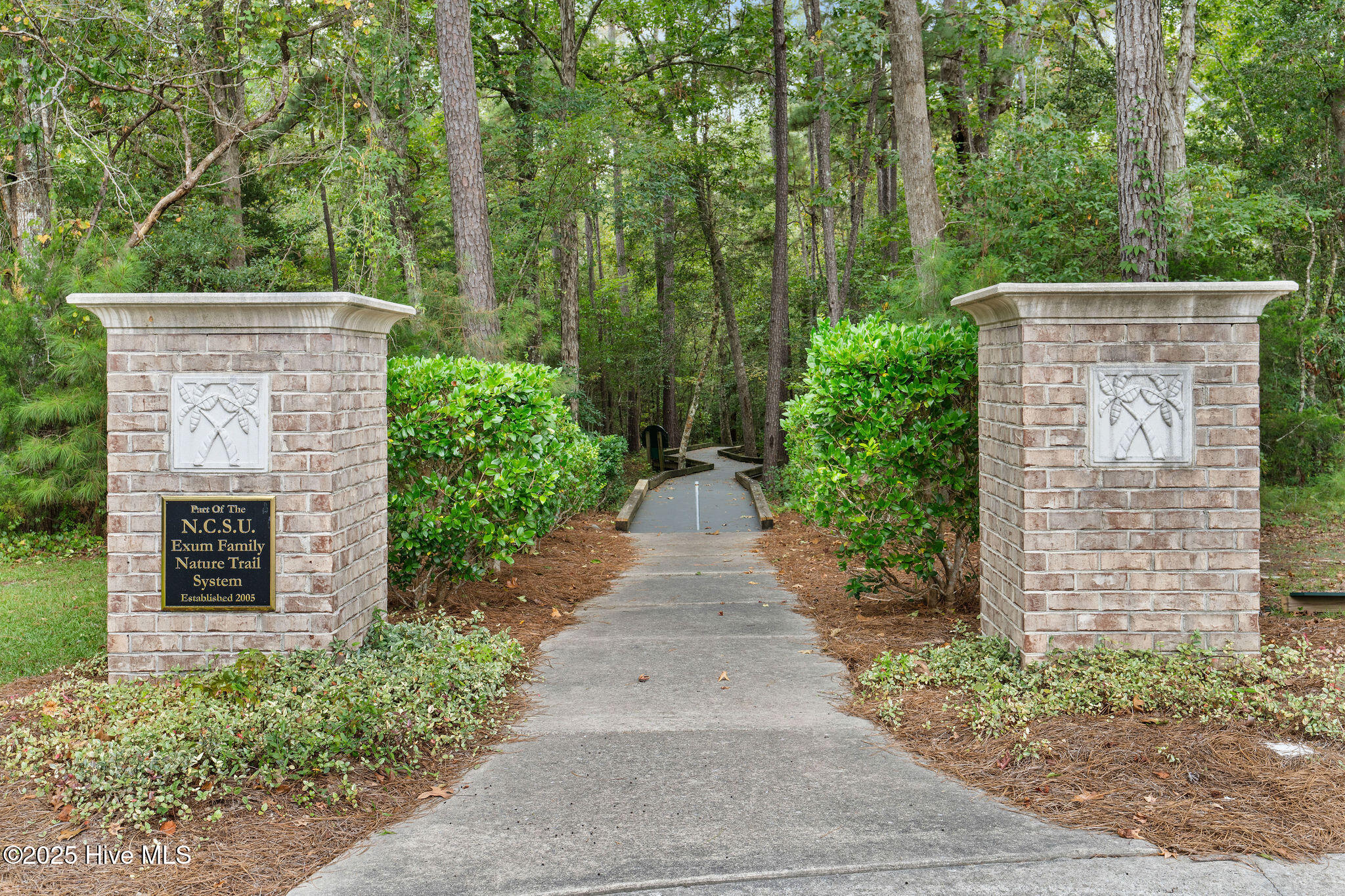 100531104 | Photo 56