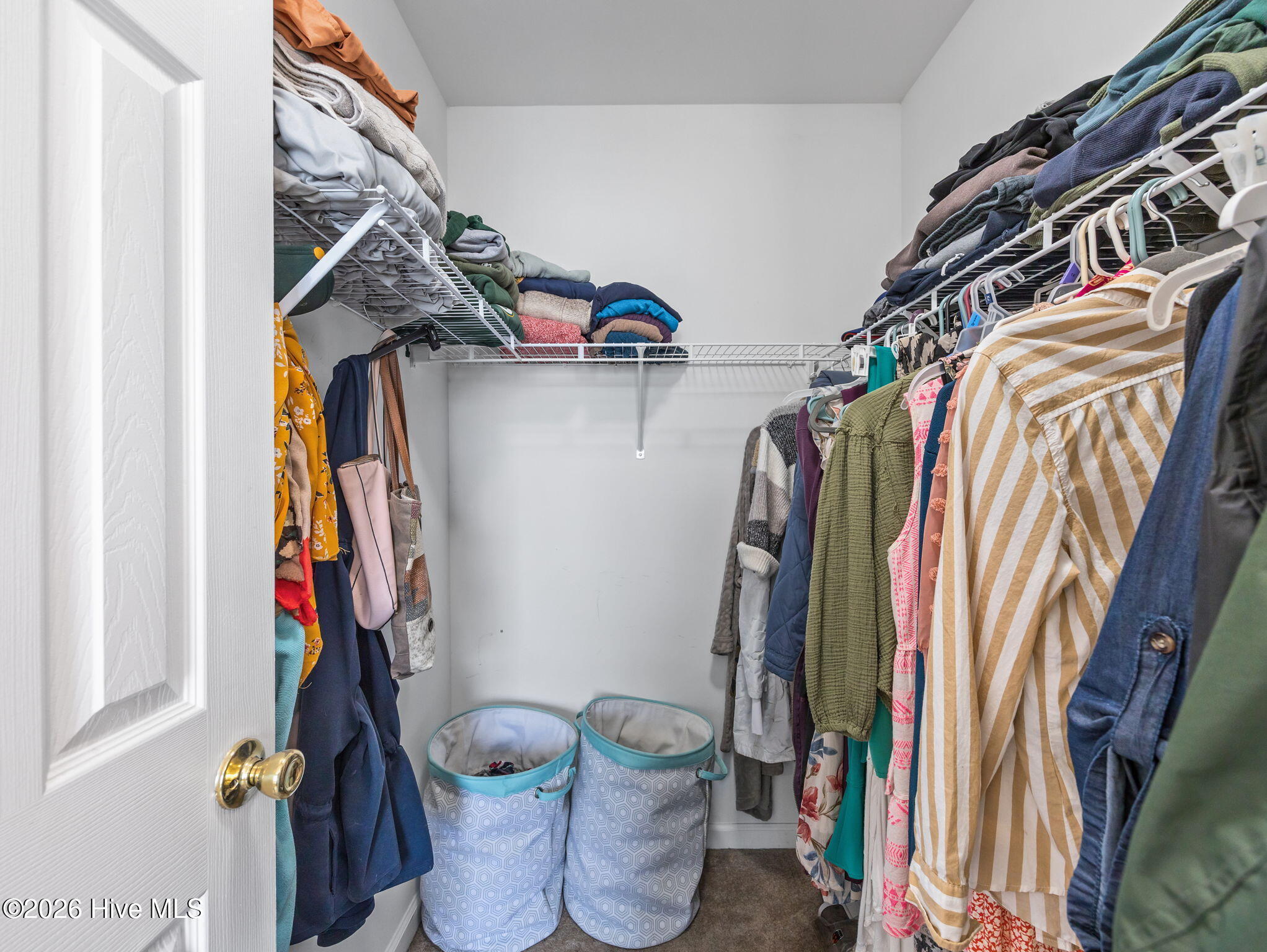 100562601 | Photo 30