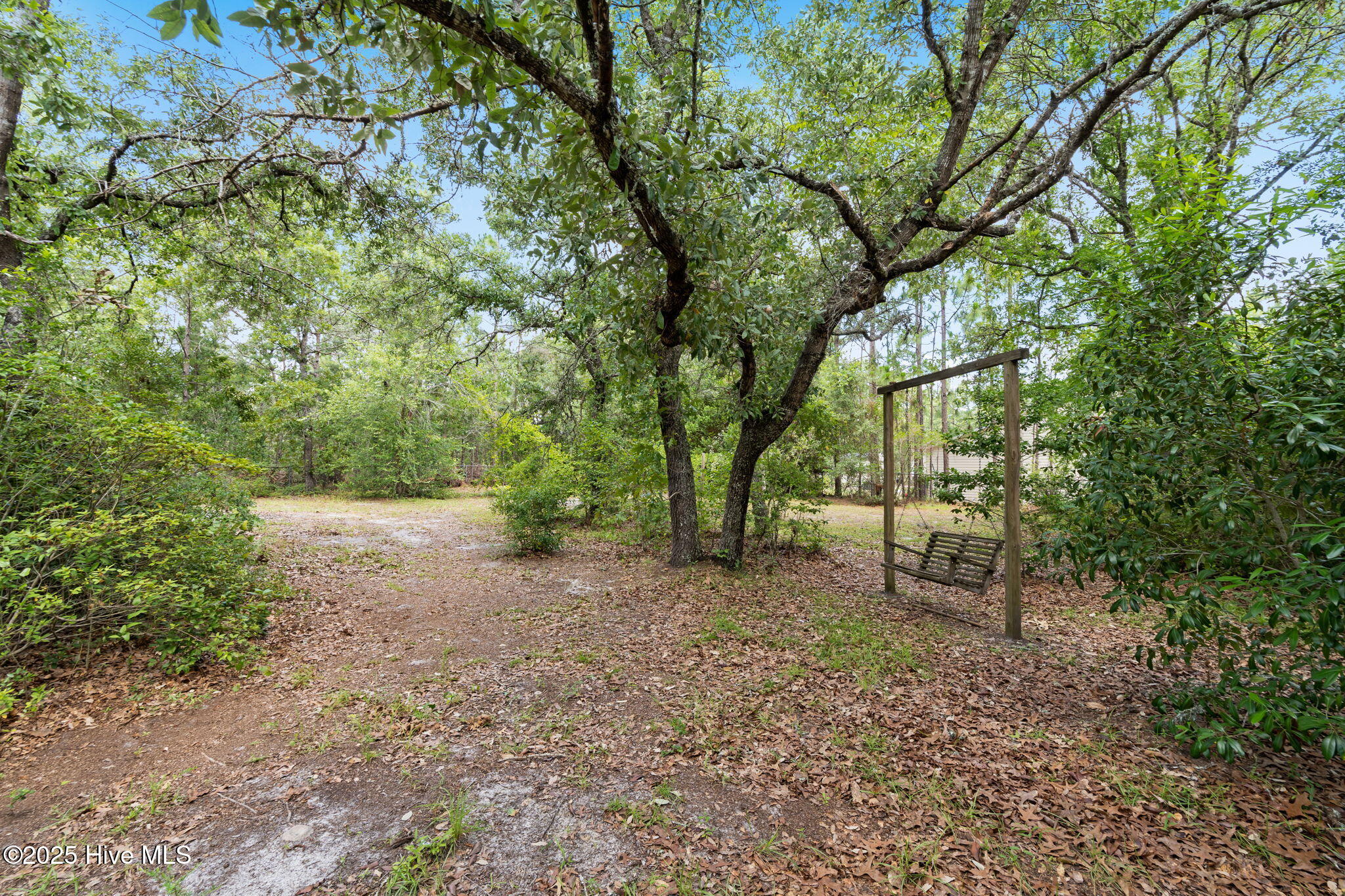 100551974 | Photo 42