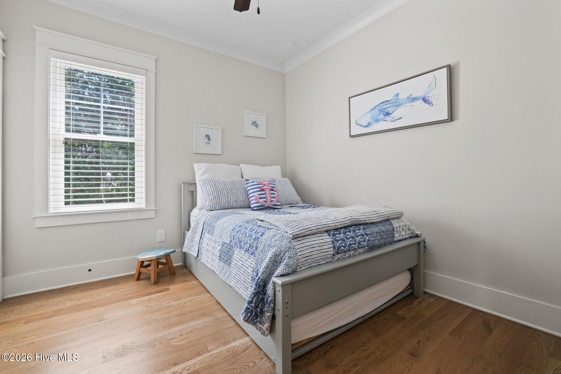 100567174 | Photo 17