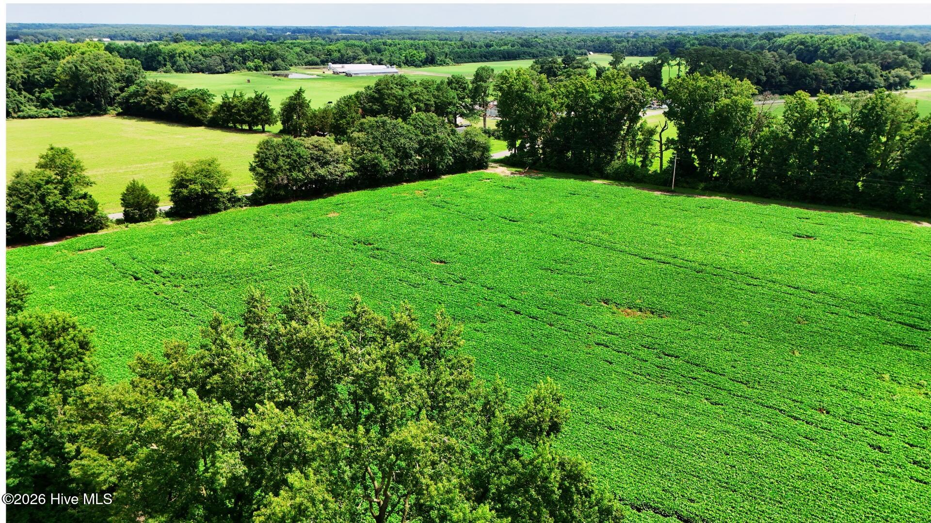 11th image of 464 Washboard Ave, Mount Olive, NC 28365 | MLS# 100593430