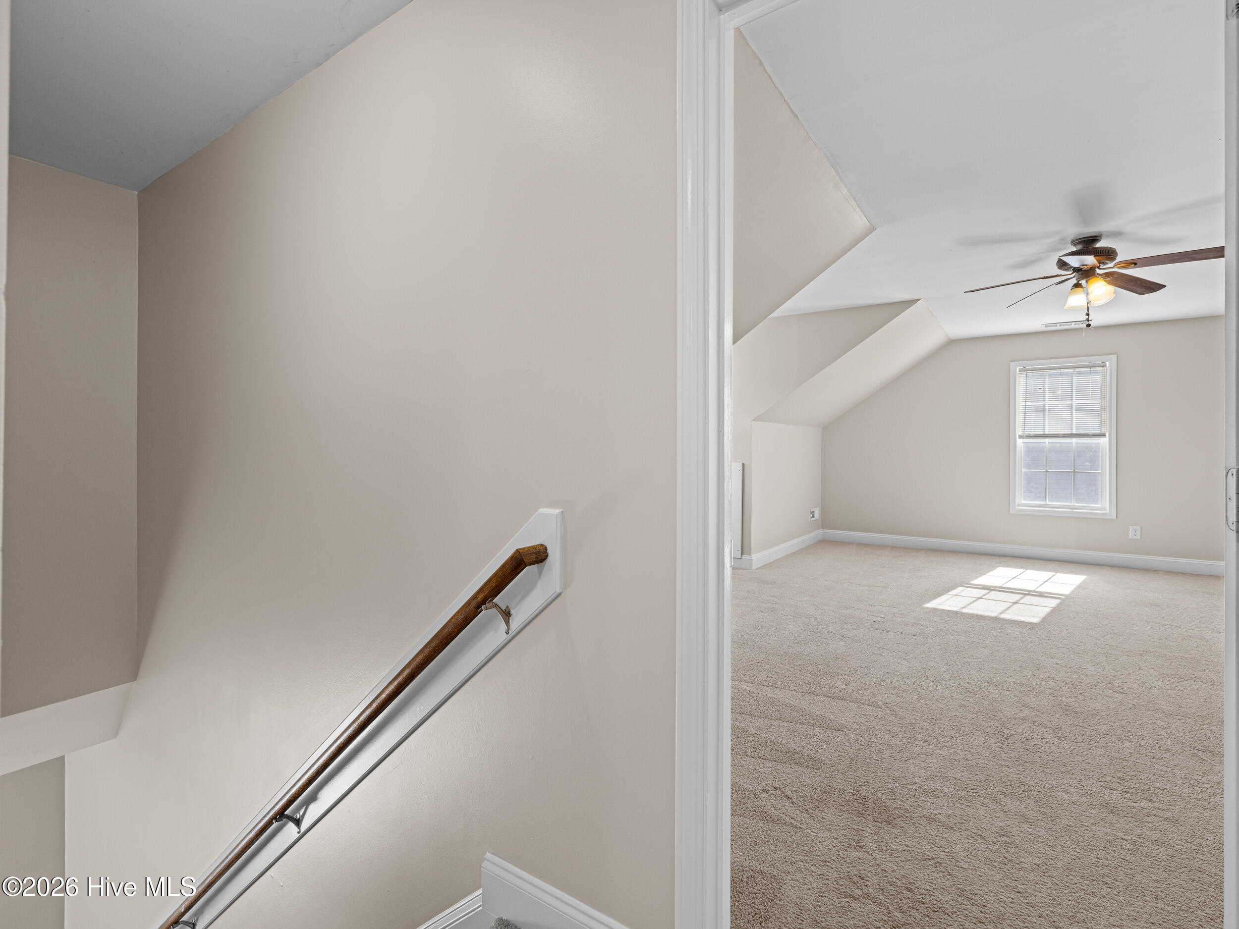 100549292 | Photo 36