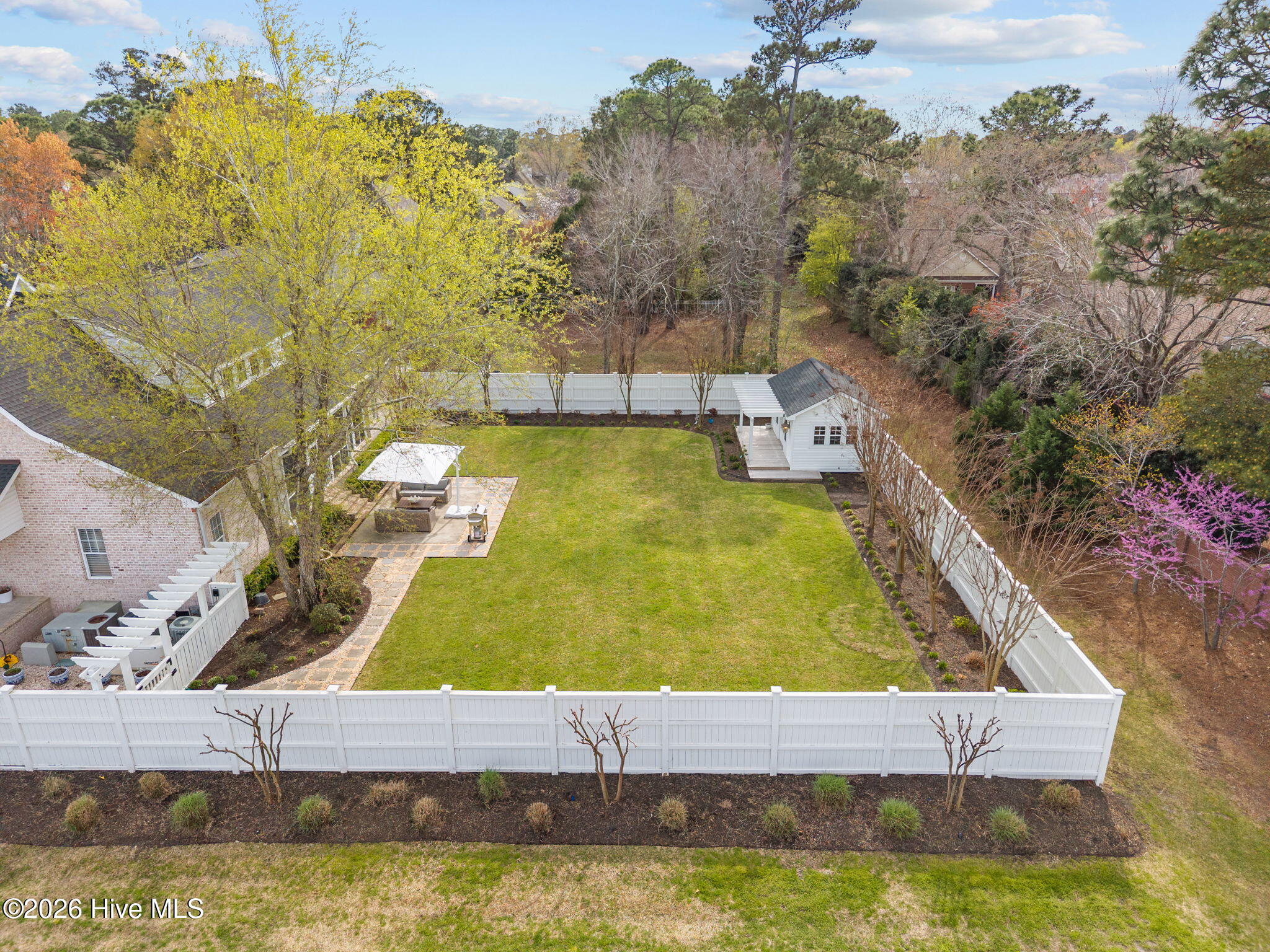 100561575 | Photo 61