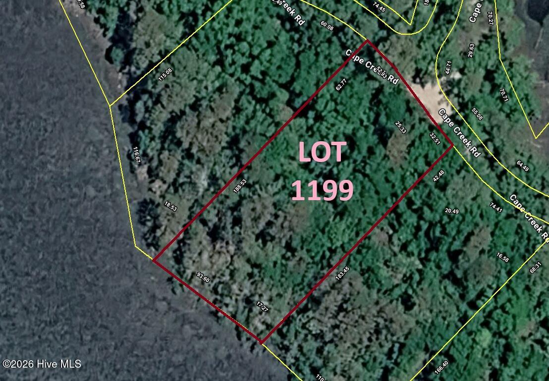 100566616 | Photo 12