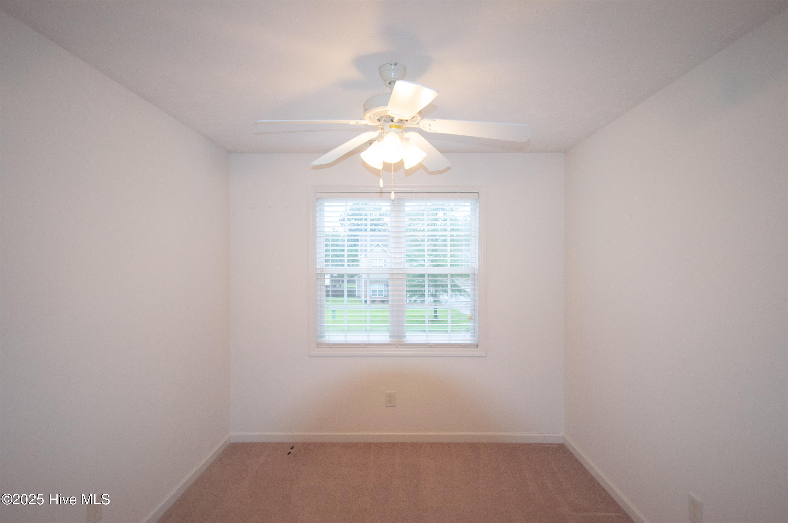 100532308 | Photo 19