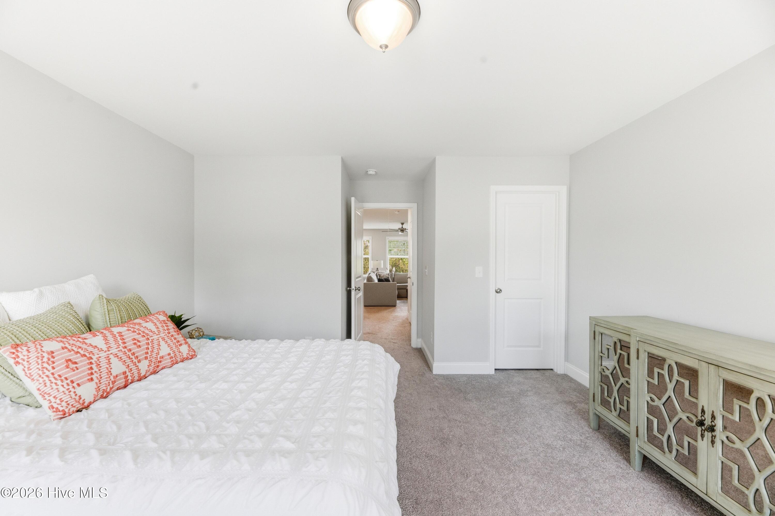 100564137 | Photo 21