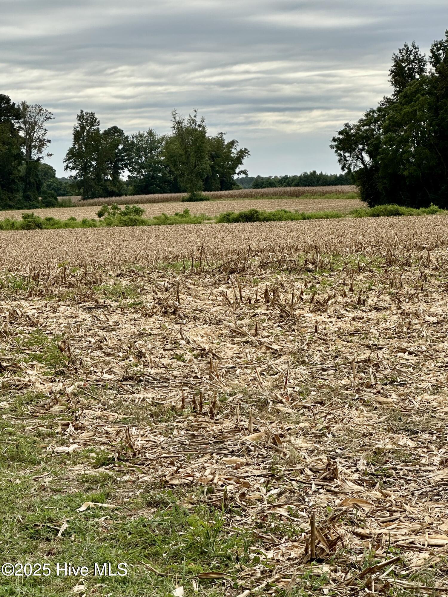 146 Cherry Street, Cerro Gordo, NC, 28430