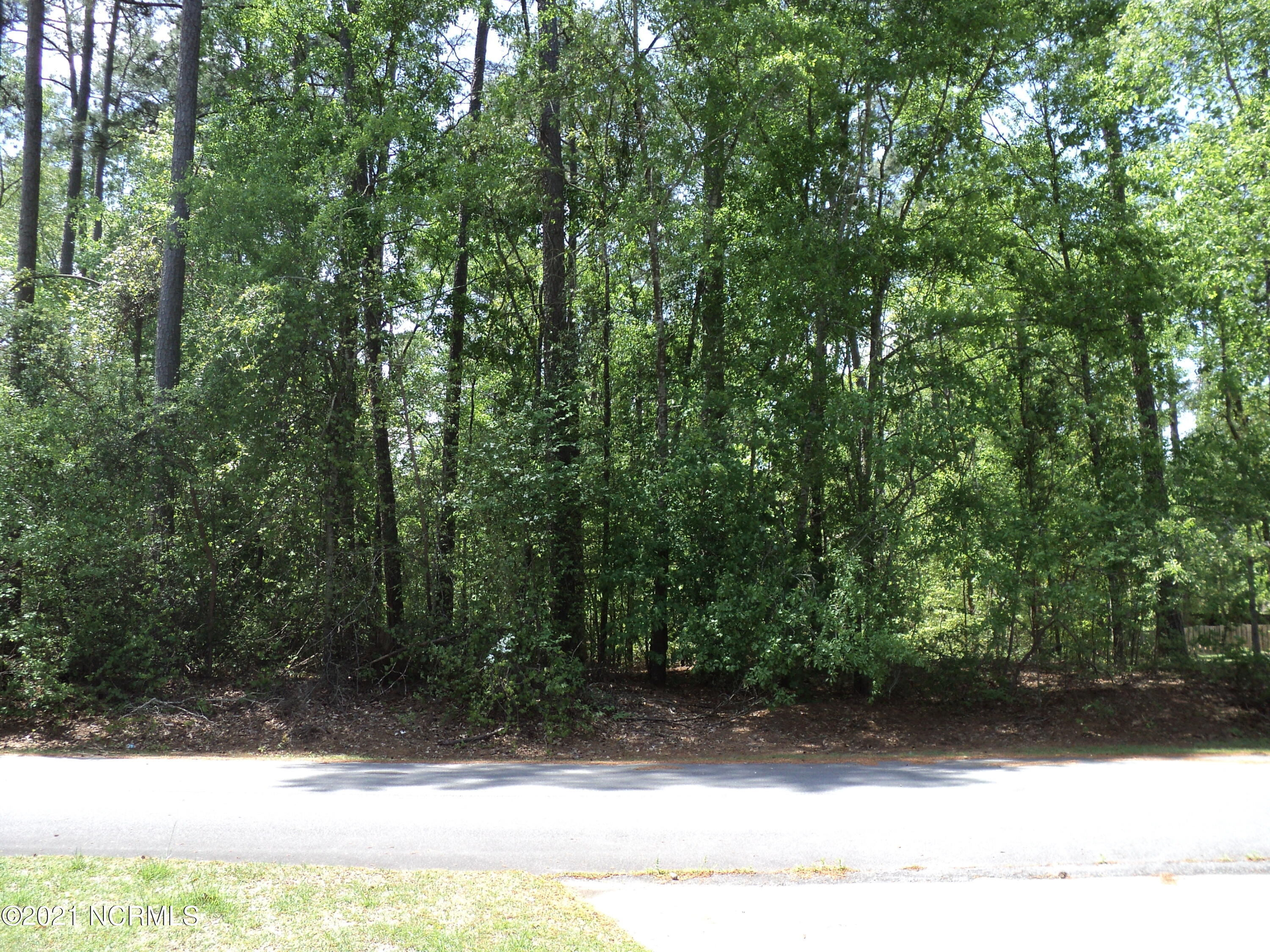 Lot 53 W Fairway Drive, Washington, NC, 27889