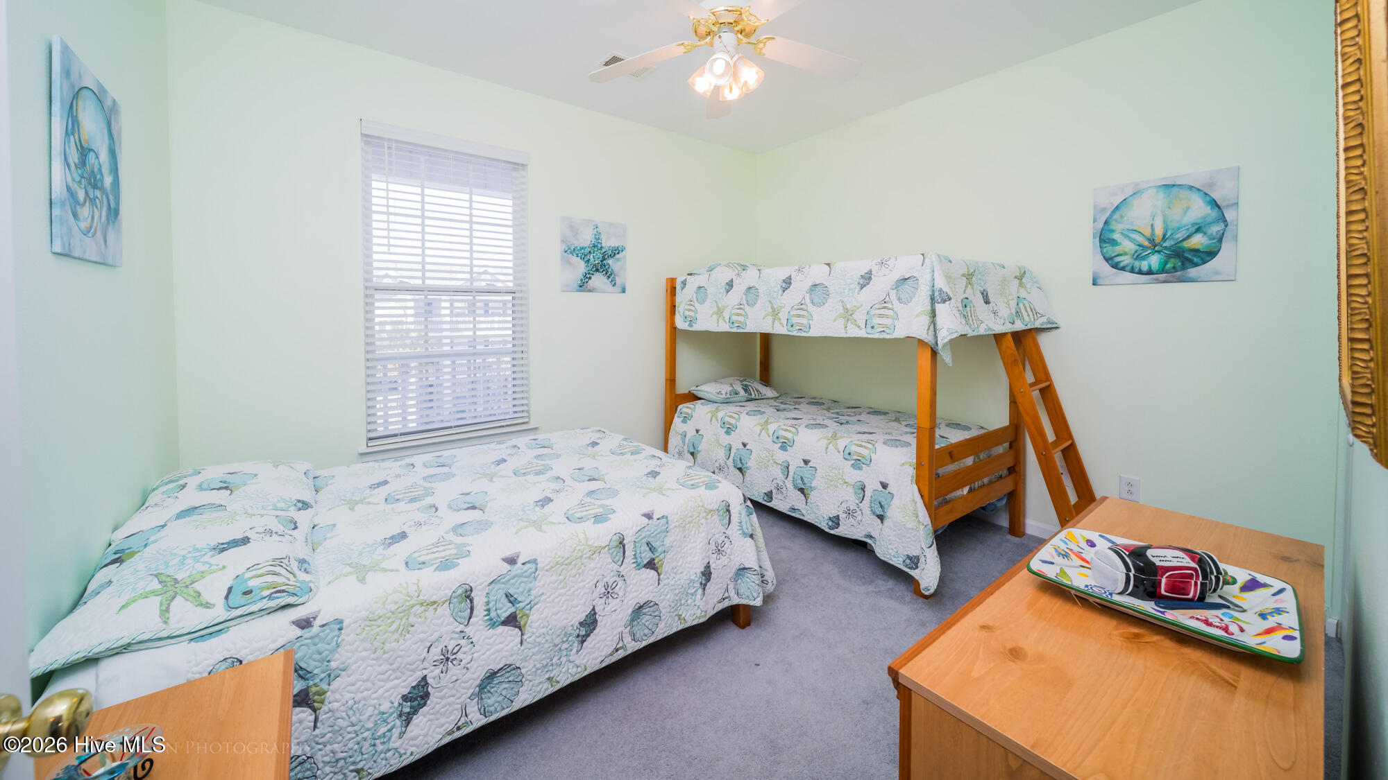 100560065 | Photo 17