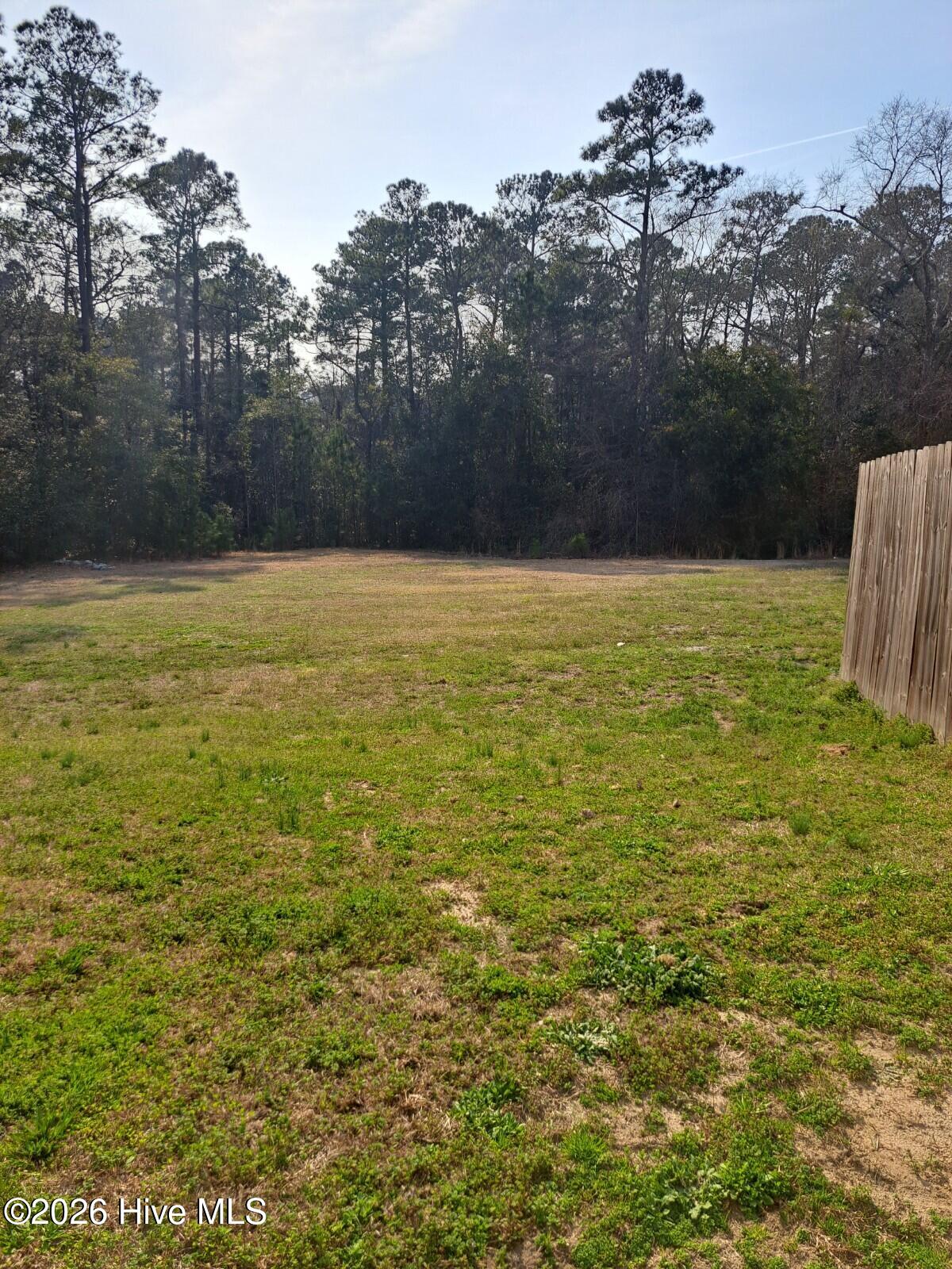 100555194 | Photo 19