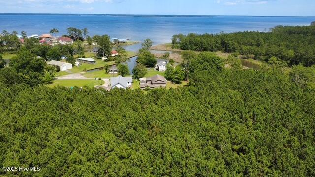 Aerial of wooded parcel behind house