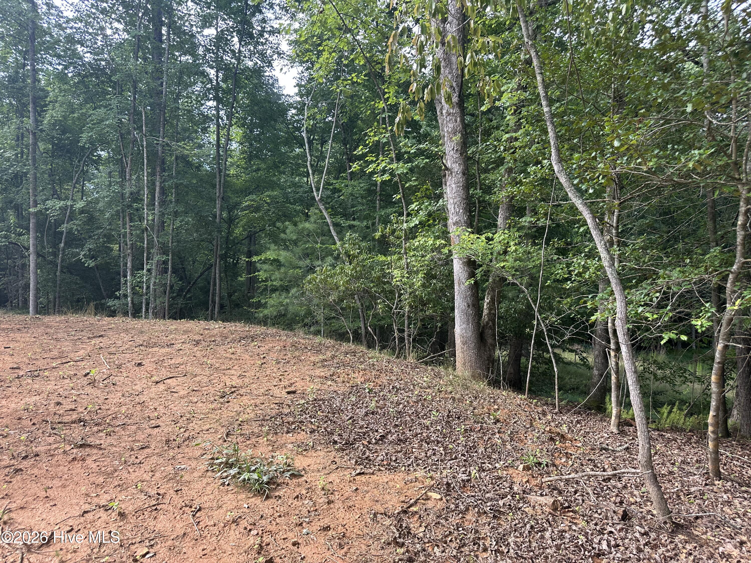 Exterior photo of 00 Johnsonville Road, Murphy, NC 28906. MLS: 100588099