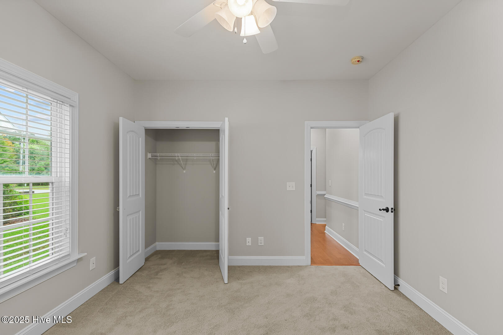 100543742 | Photo 57