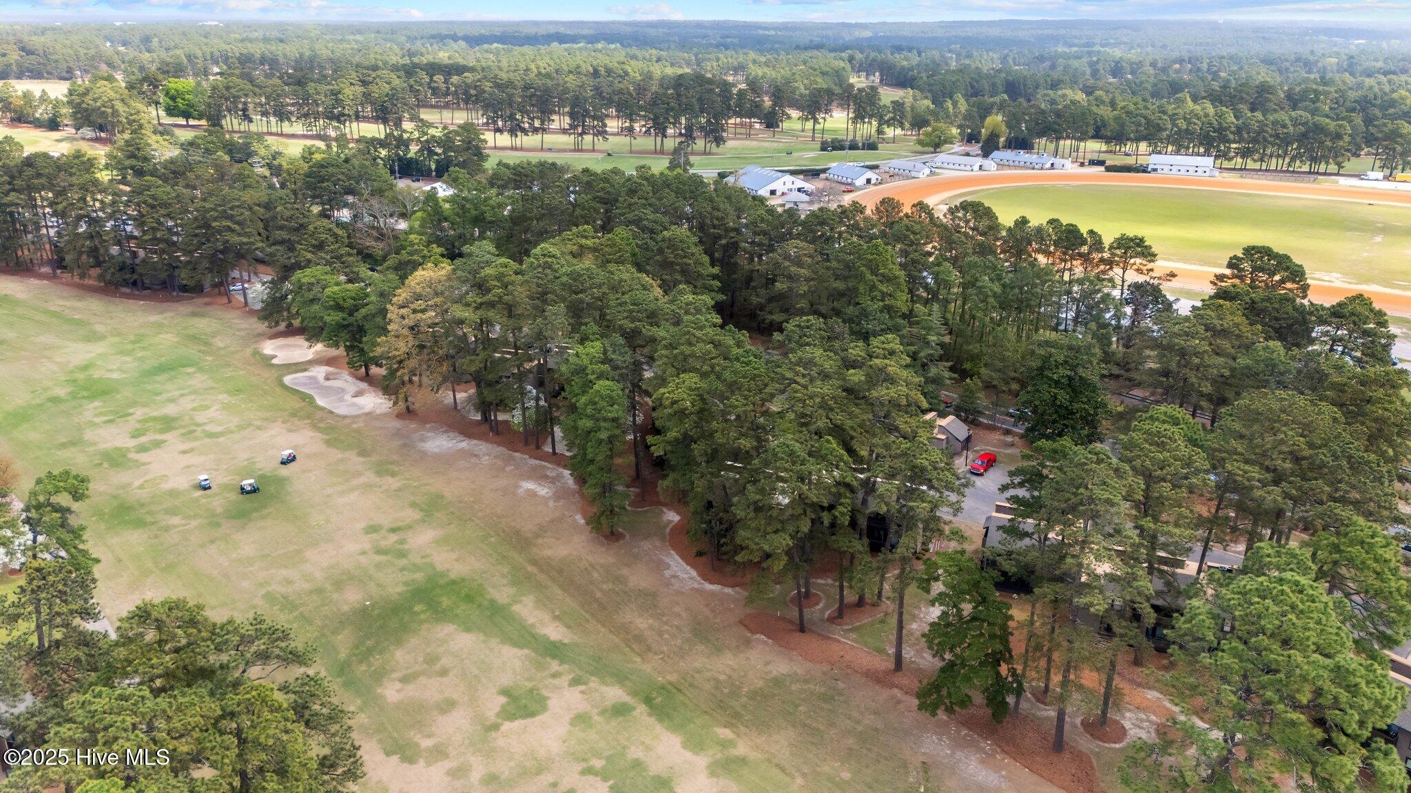 5 Pine Tree Road 211