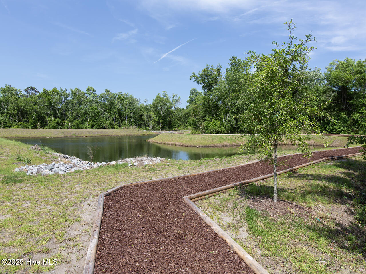 100559837 | Photo 39