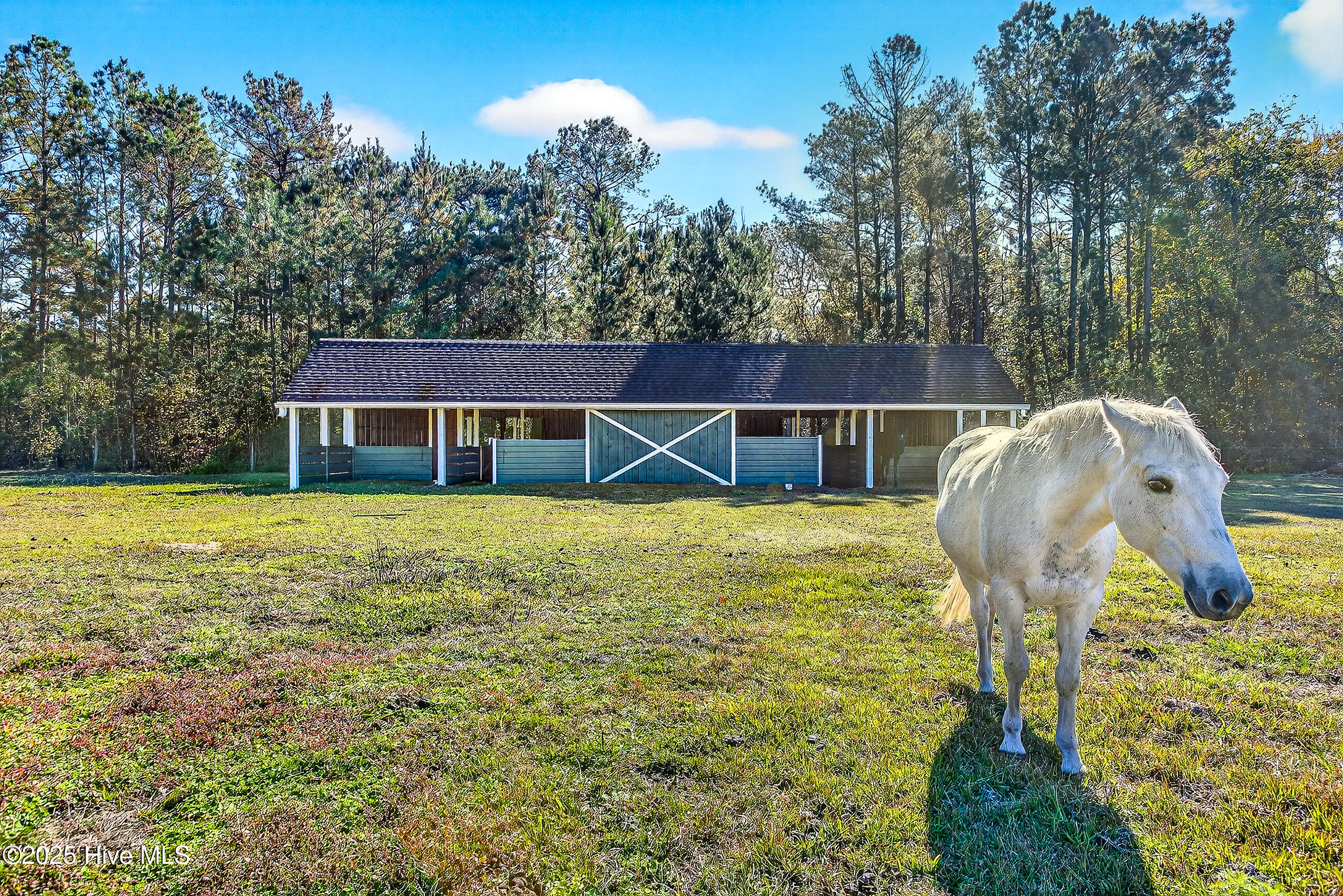 100540143 | Photo 46