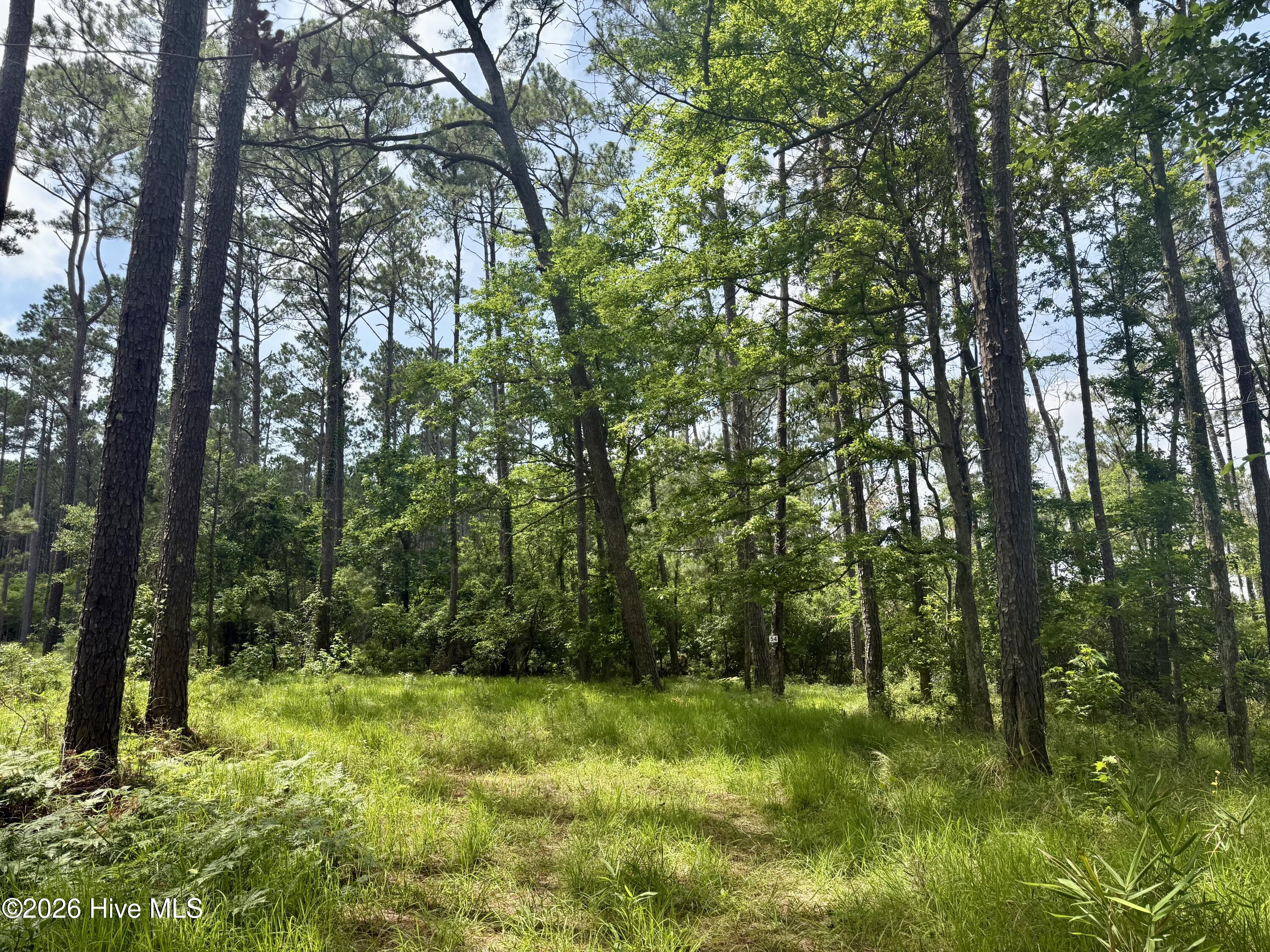 558 Sandy Point 