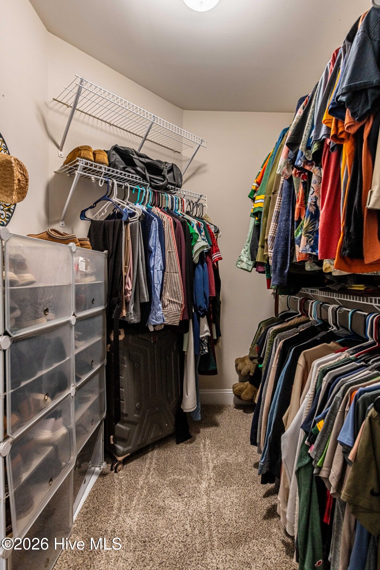 100555095 | Photo 28