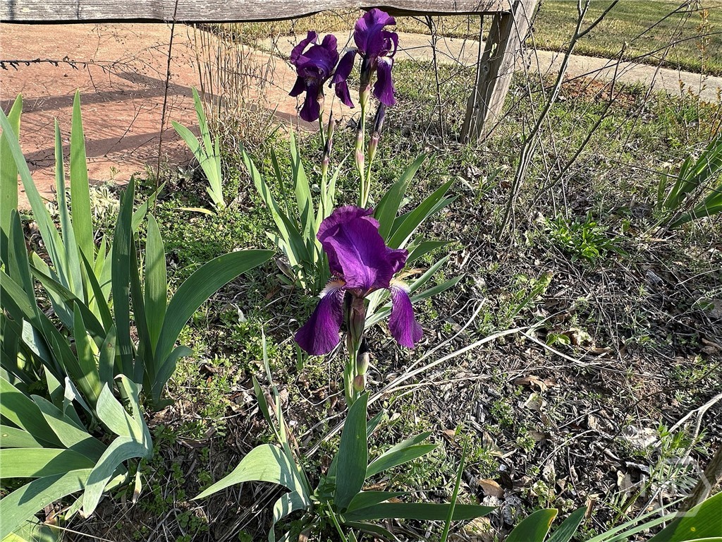 1104 Farm Road, Colbert, GA, 30628