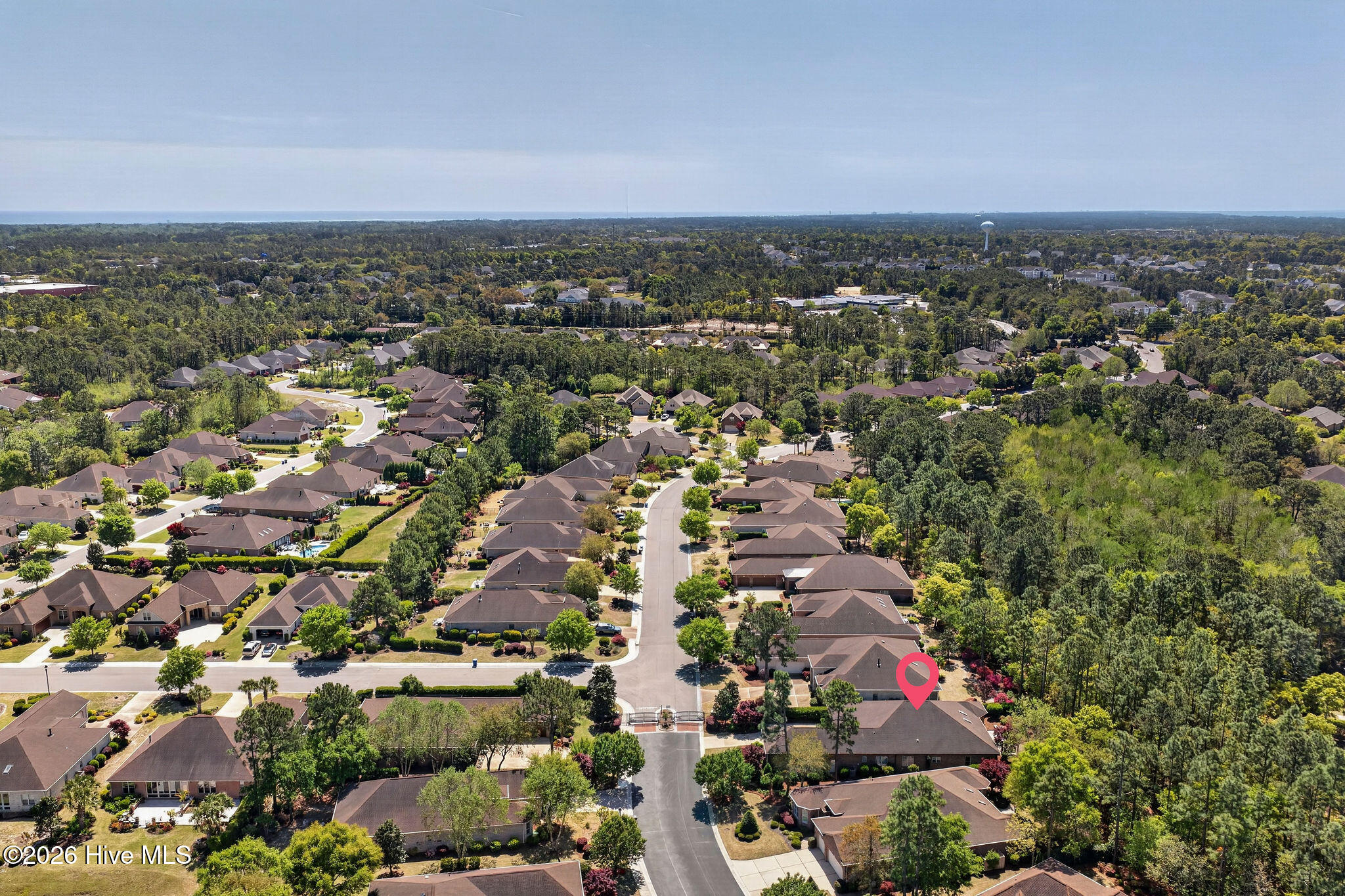 100566278 | Photo 43