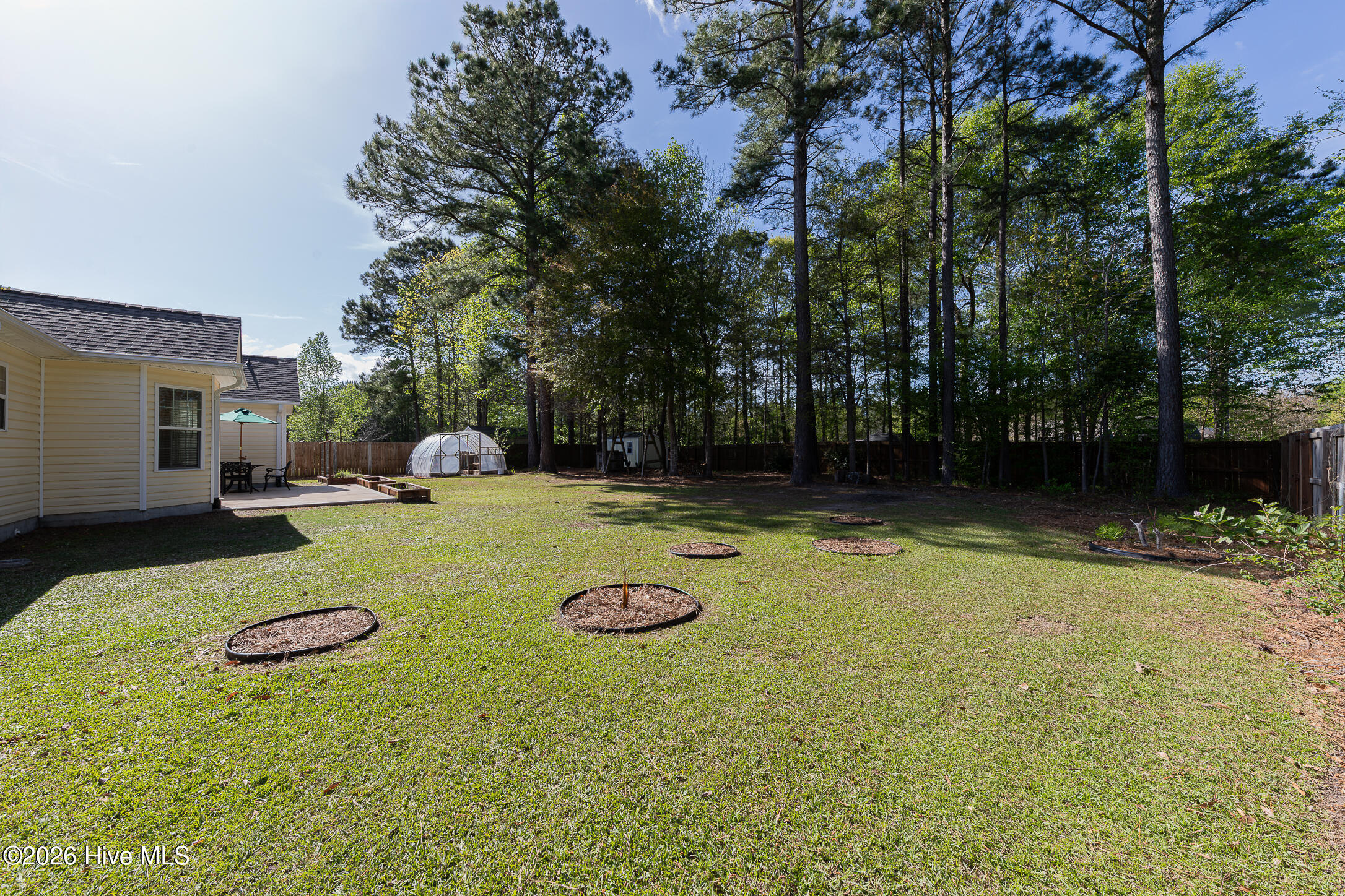 100566489 | Photo 55