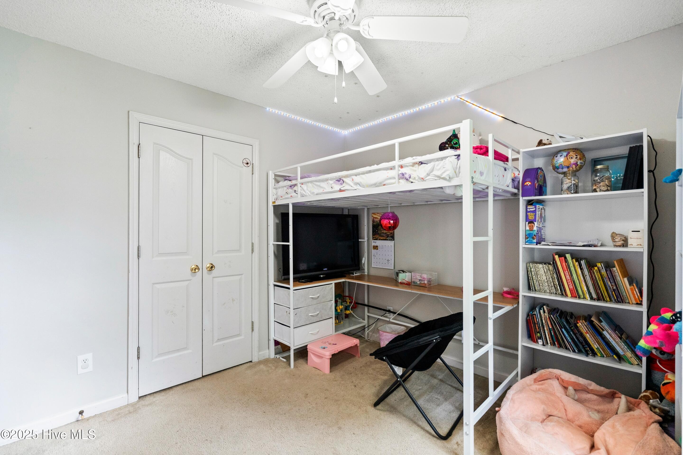 100515616 | Photo 38