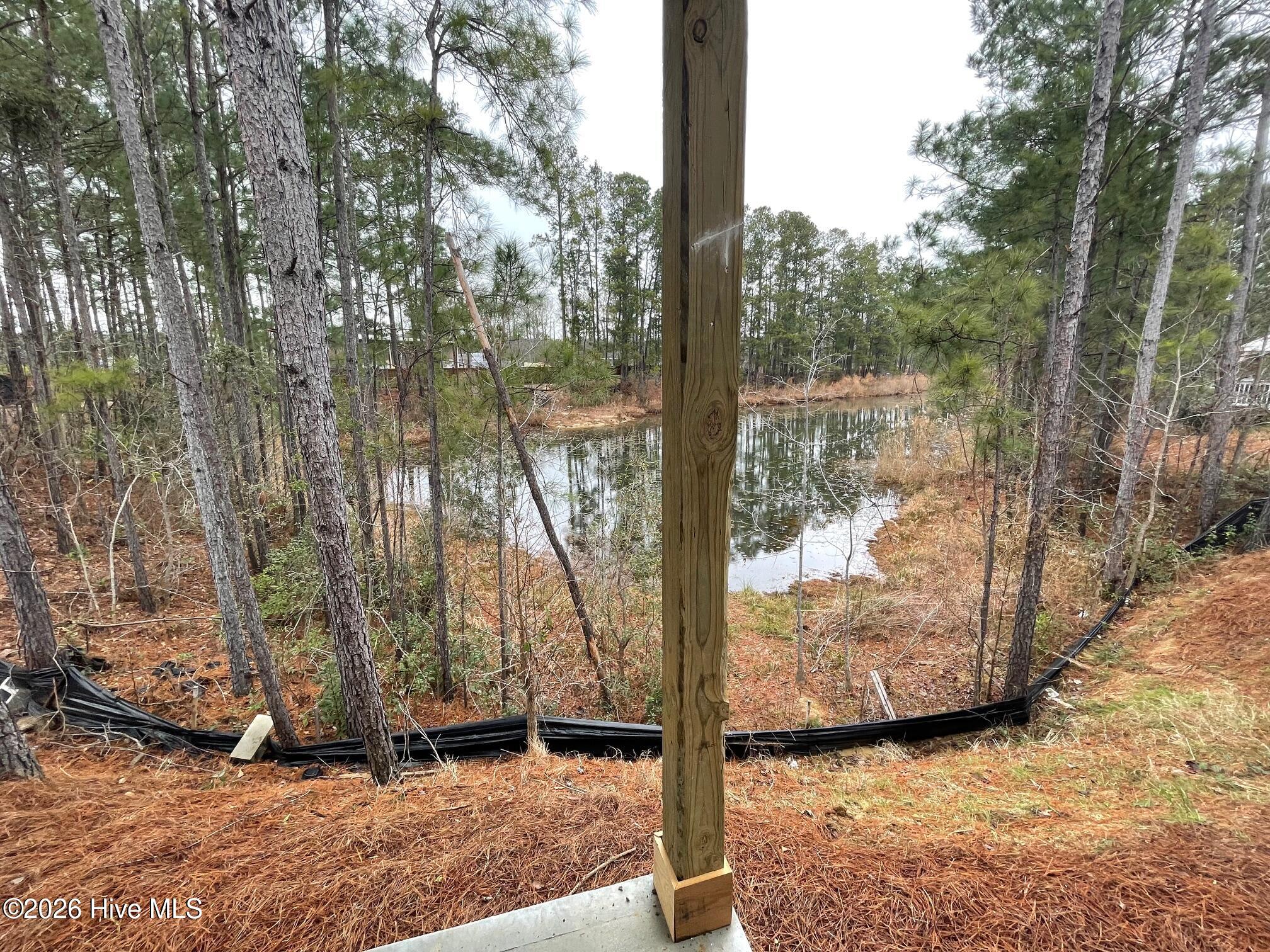 100552862 | Photo 19