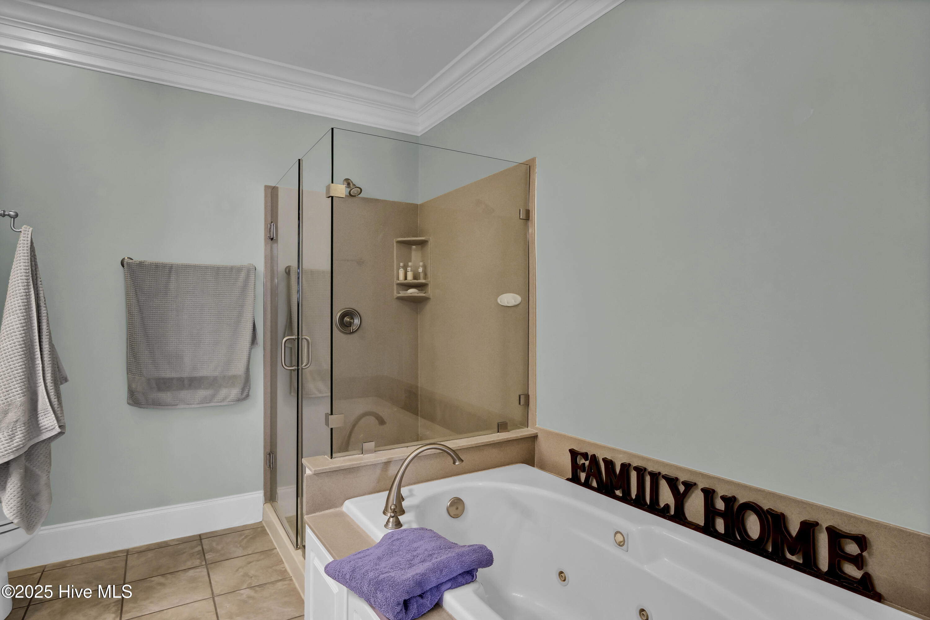 100526208 | Photo 26