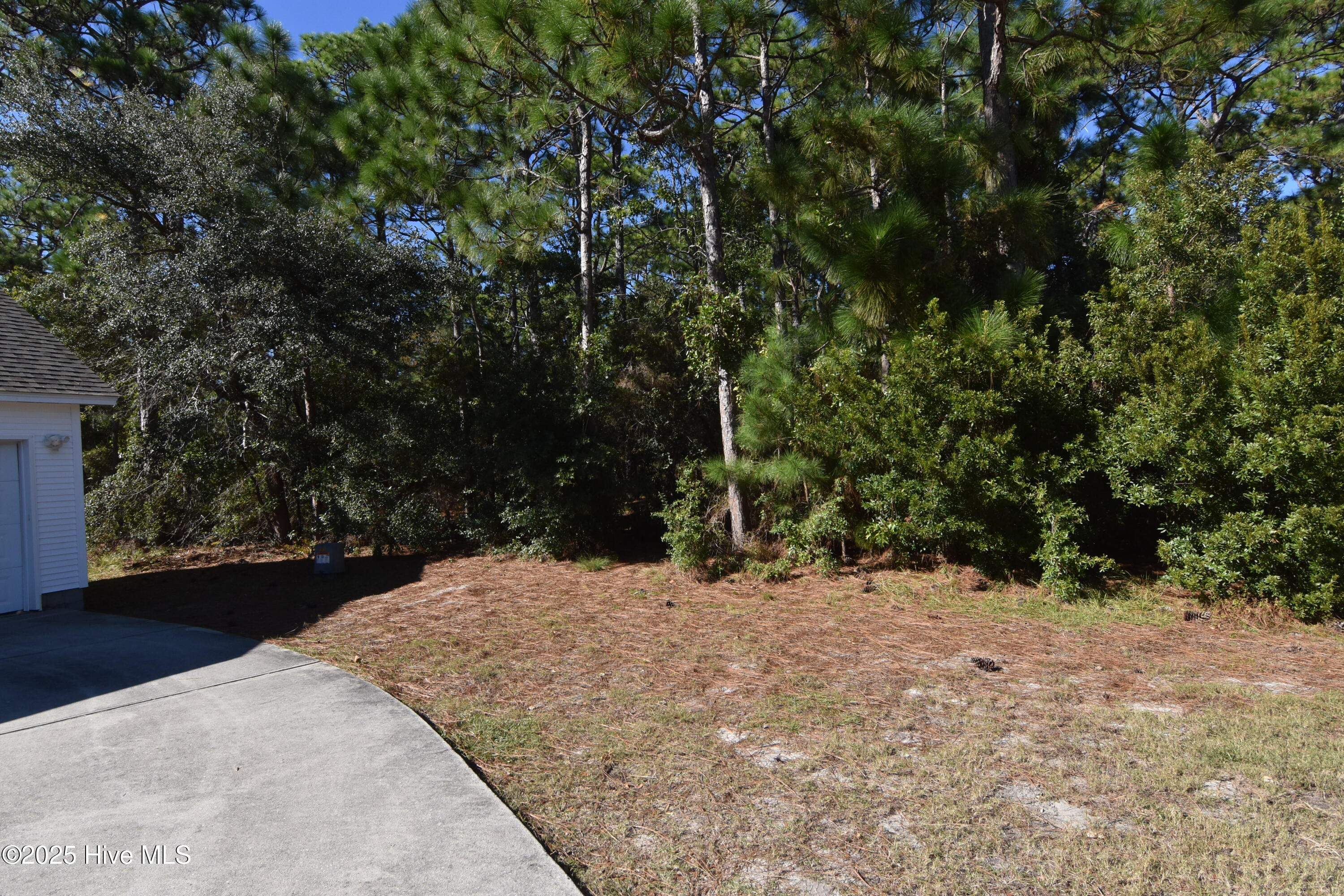 7732 Trap Way, Wilmington, NC 28412 – photo 11: DSC_1285