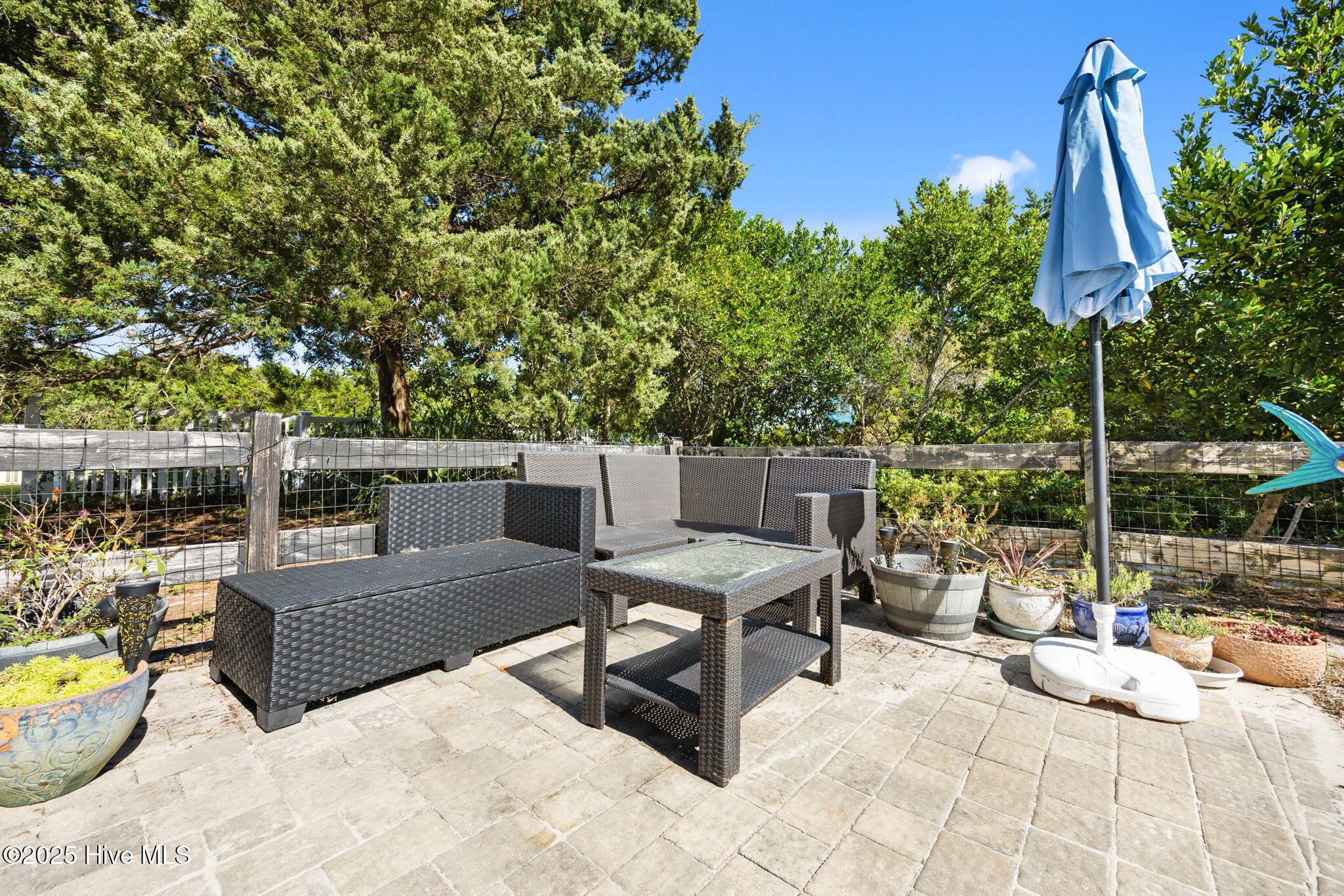 100532848 | Photo 44