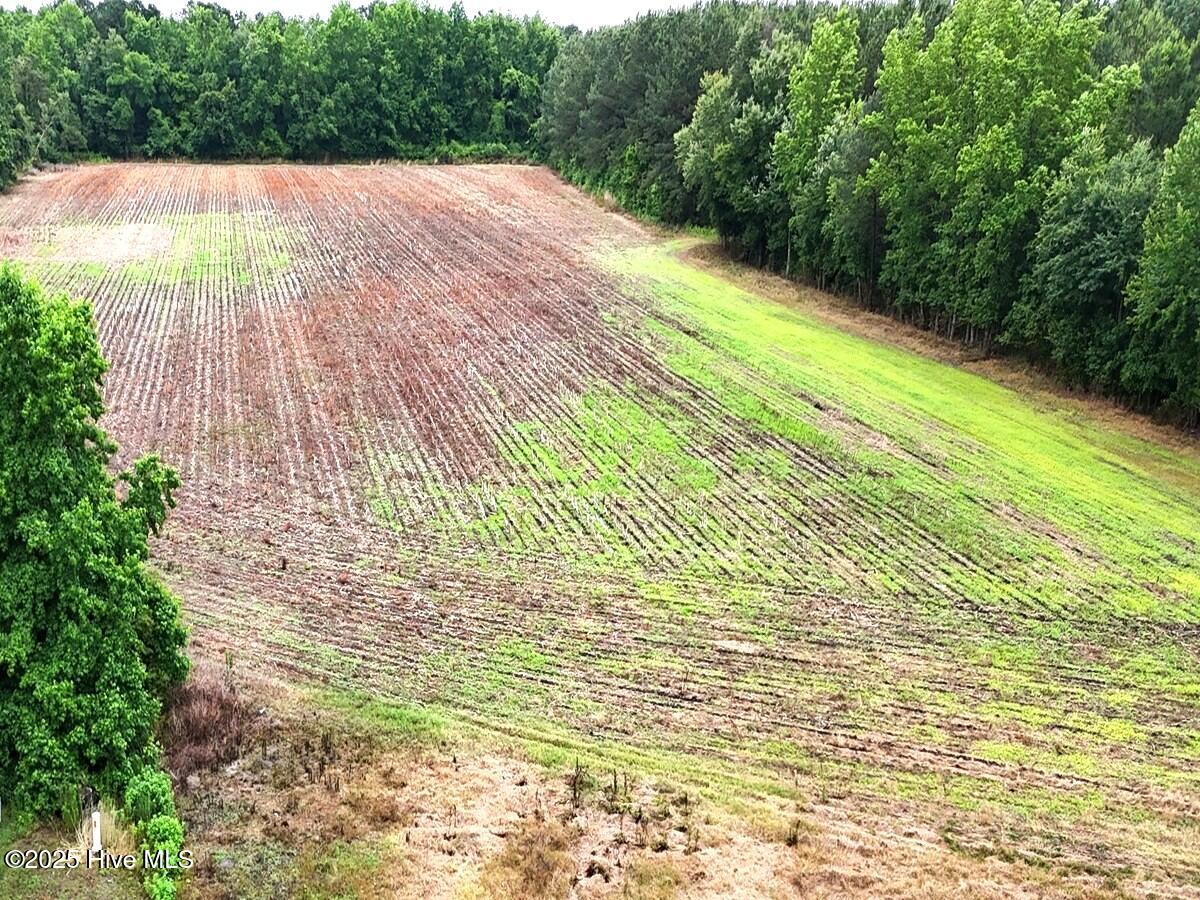 100511936 | Photo 19