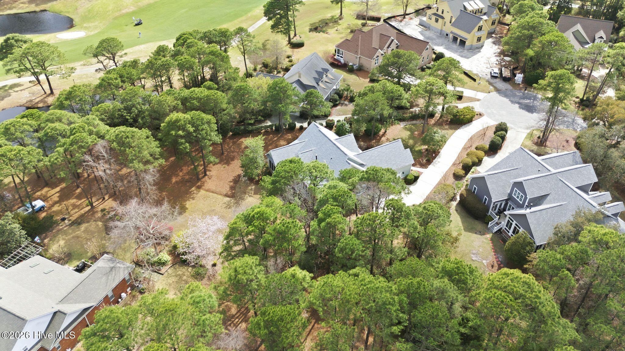 100564231 | Photo 74