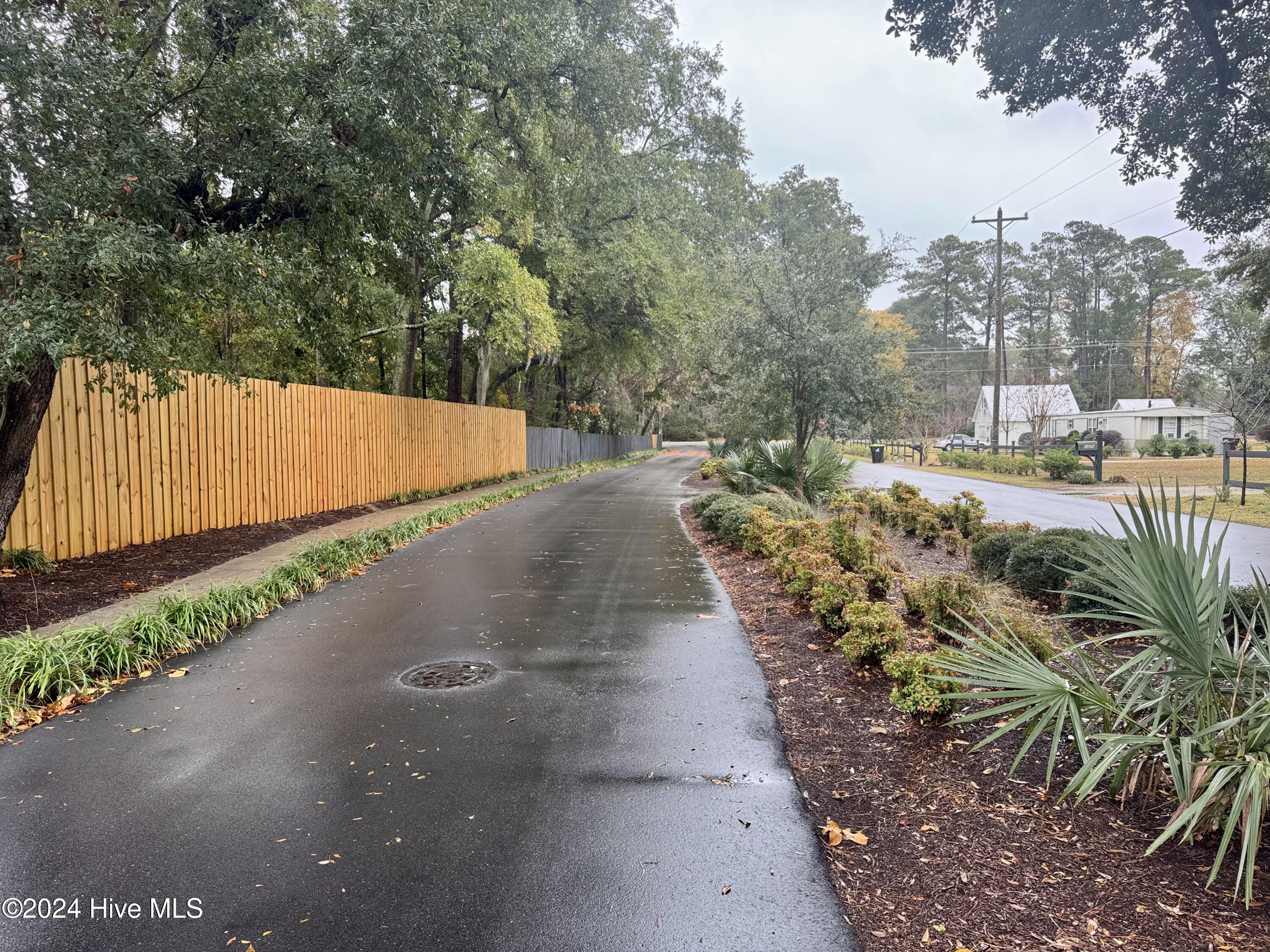 100539021 | Photo 12