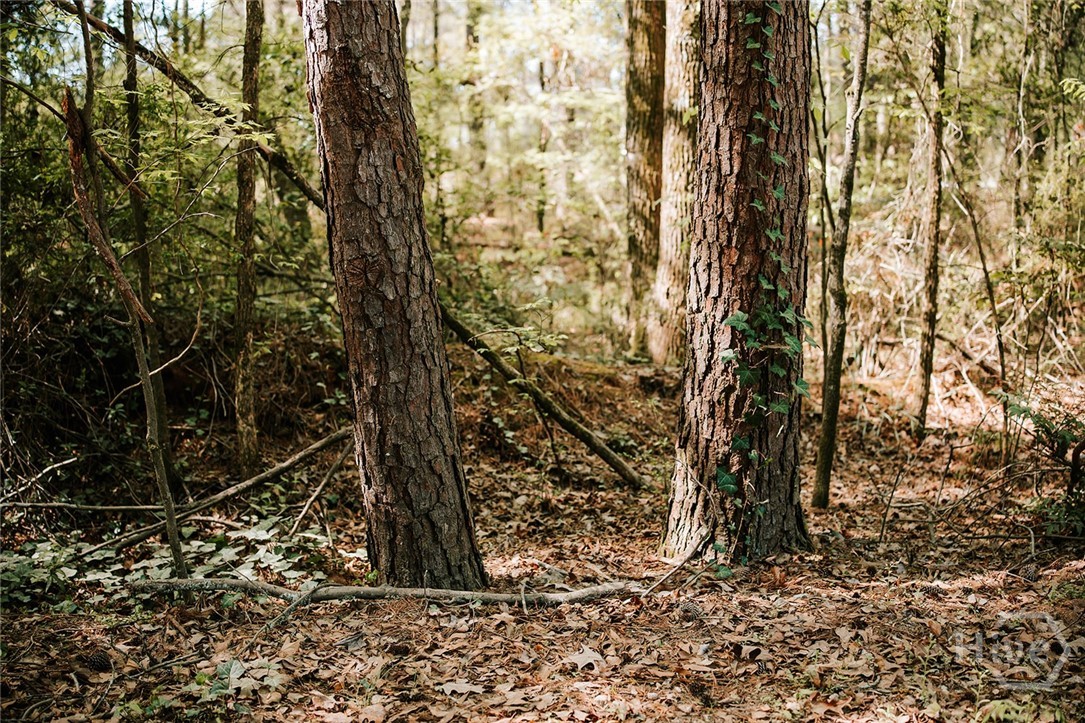 000 Union Point Road, Stephens, GA, 30667