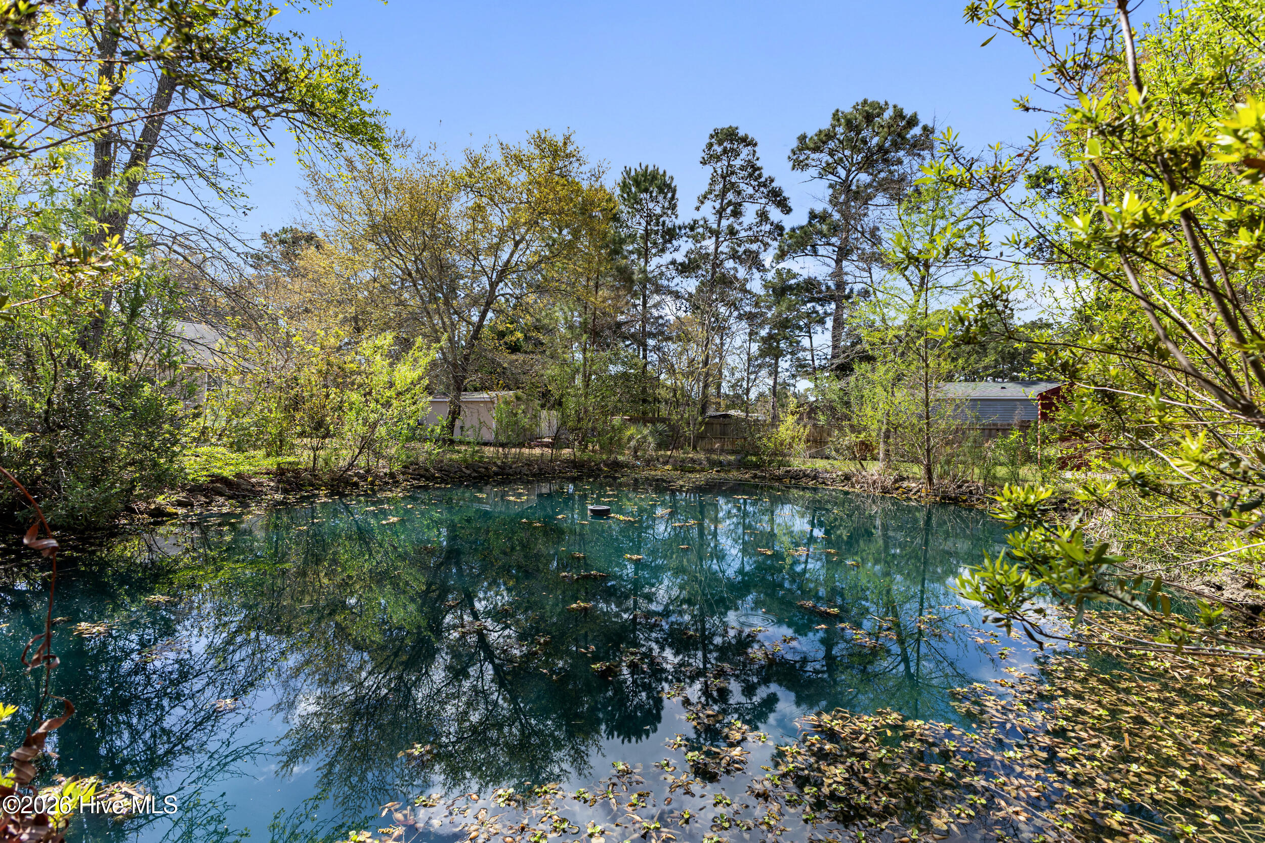 100563563 | Photo 48