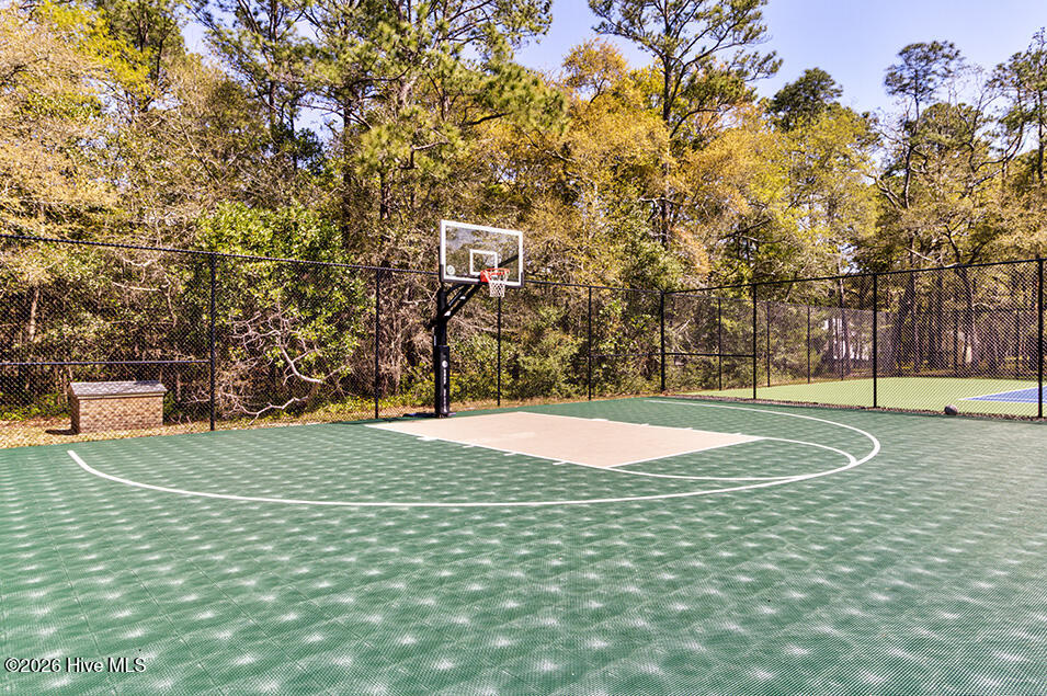 100556928 | Photo 15