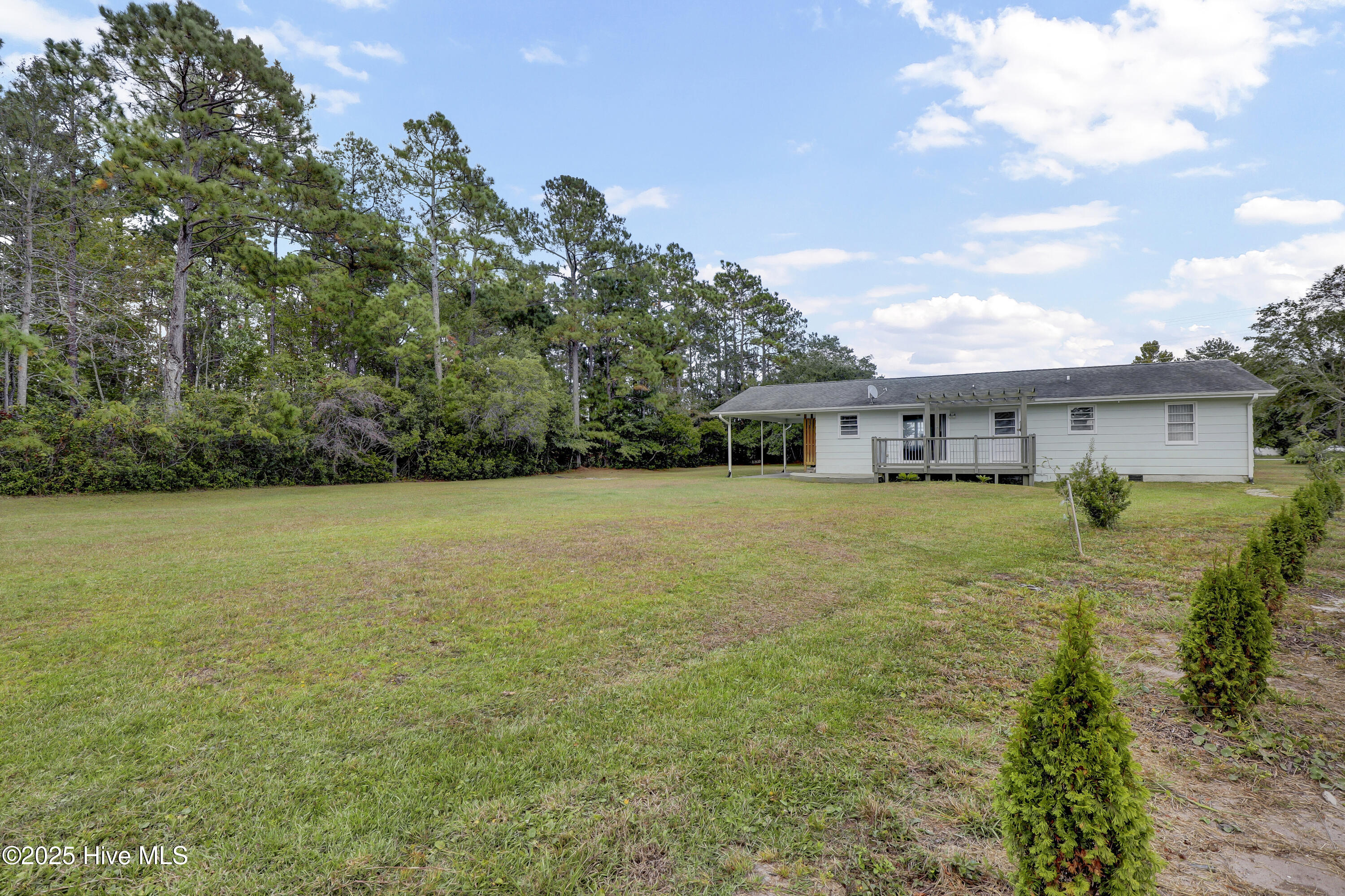 100533401 | Photo 31