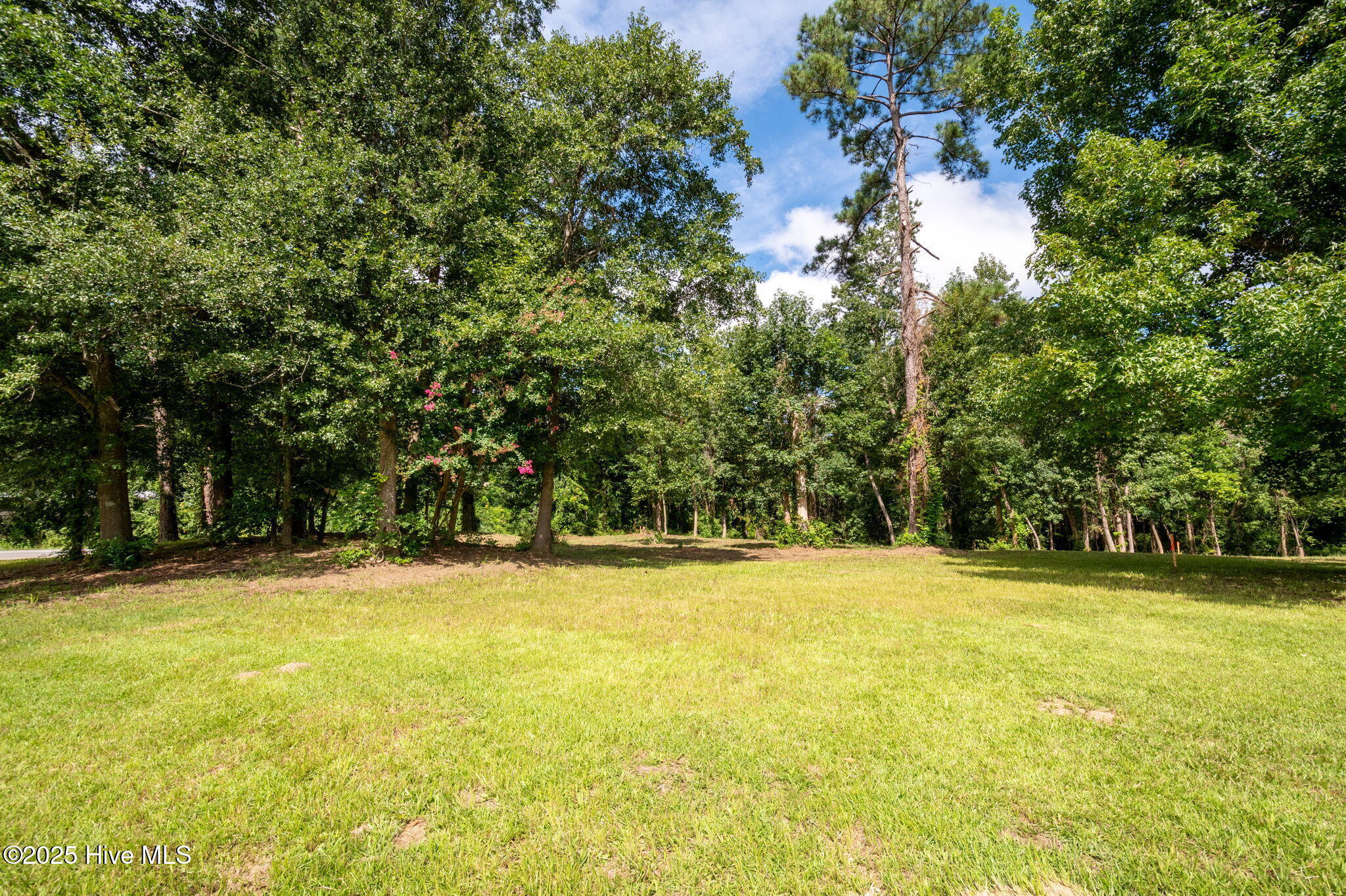 100524643 | Photo 29