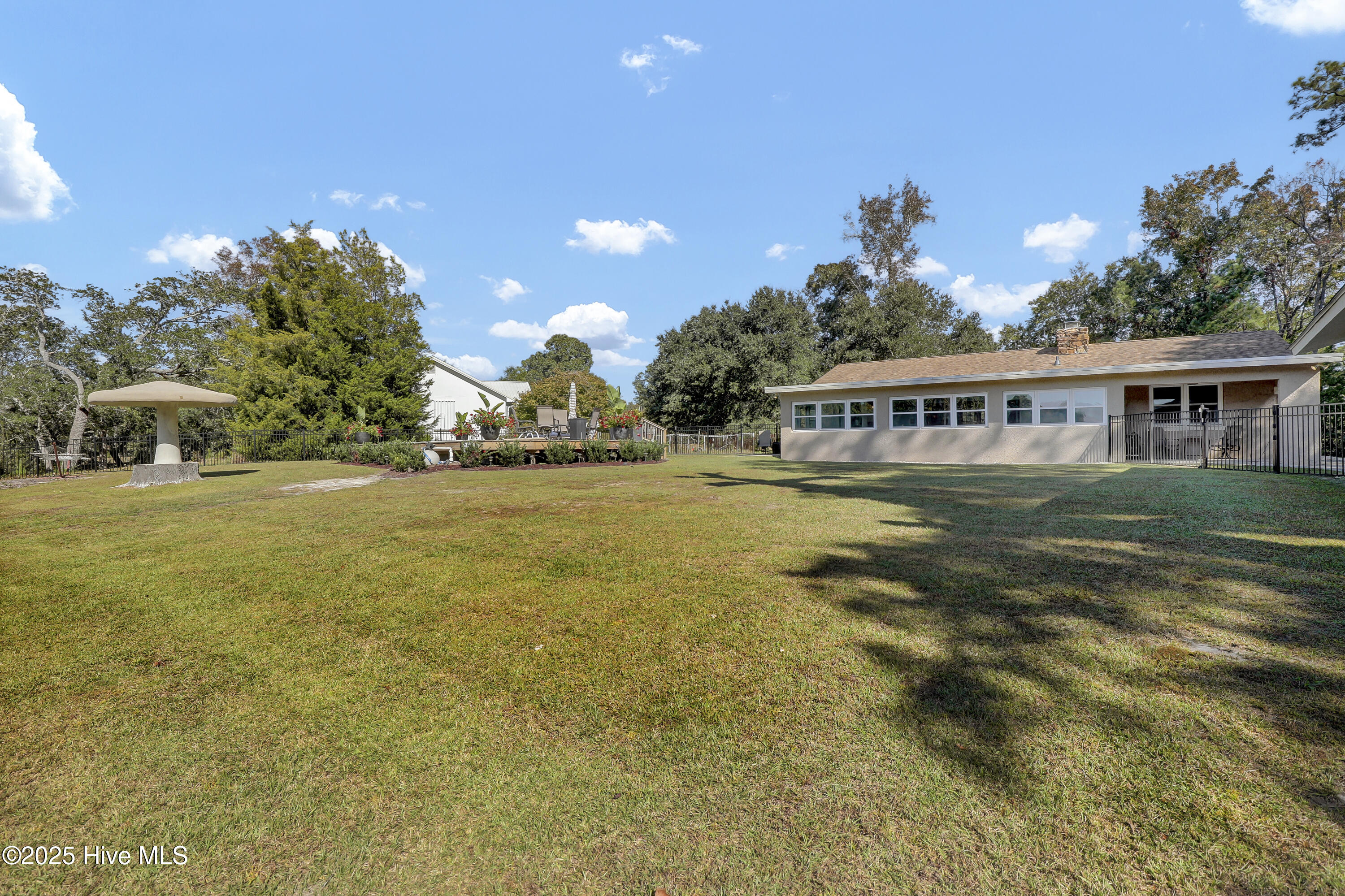 100537816 | Photo 39