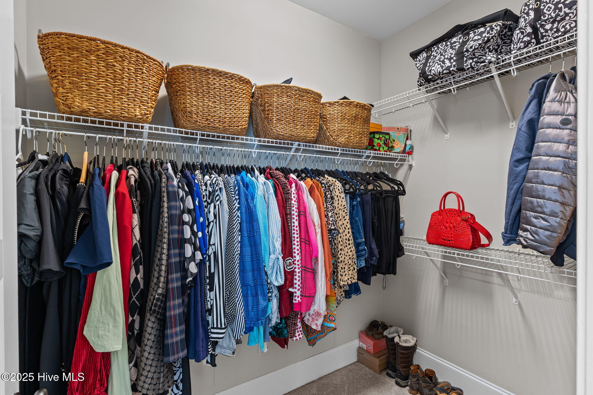 100535481 | Photo 22